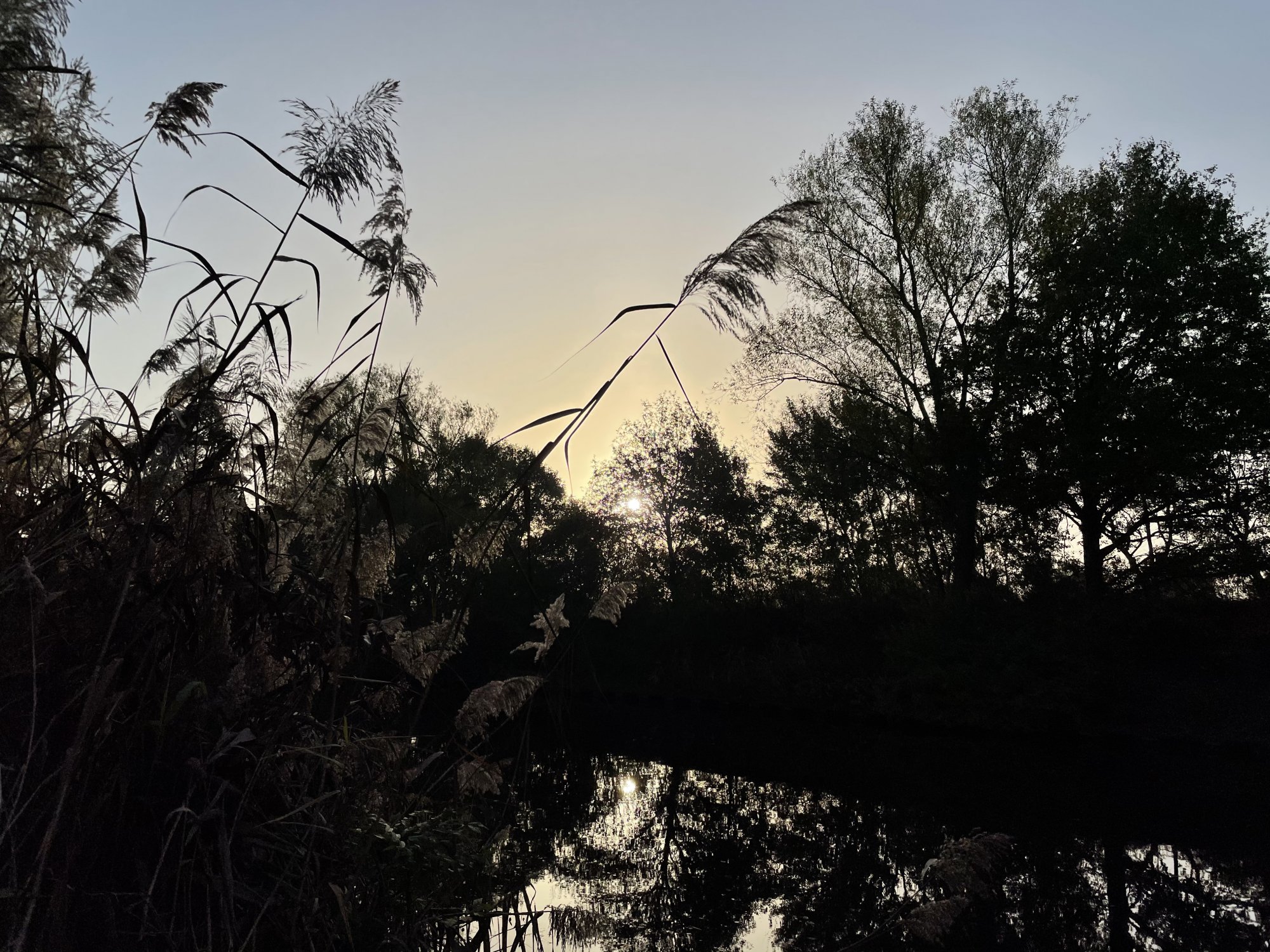 795B0F08-8480-422C-9622-21A6D786BCB8.jpeg