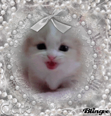 7A2D7BC3-789C-4DB0-AE37-F04DE3A8FB41.gif
