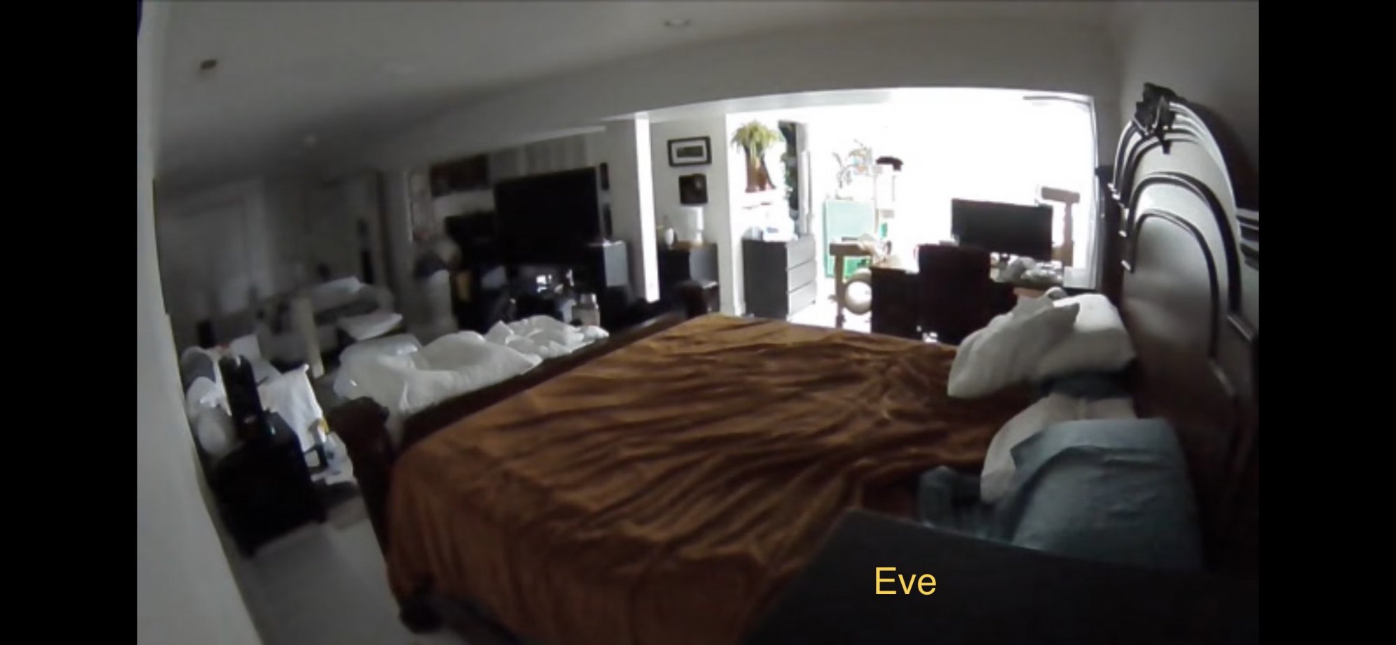 7D277EDD-3684-46EC-AA39-5CC85A43C569.jpeg