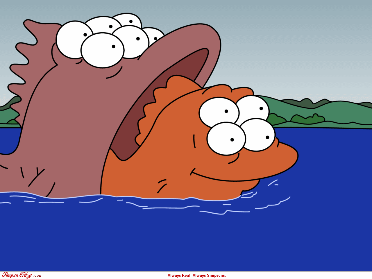 83314477-C5CD-4422-ACD1-D02F3698CF70.gif