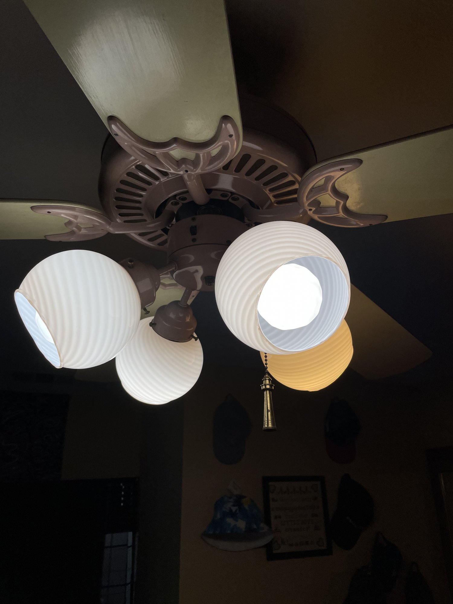 838662A4-F997-42D1-85EB-BF27179D528C.jpeg