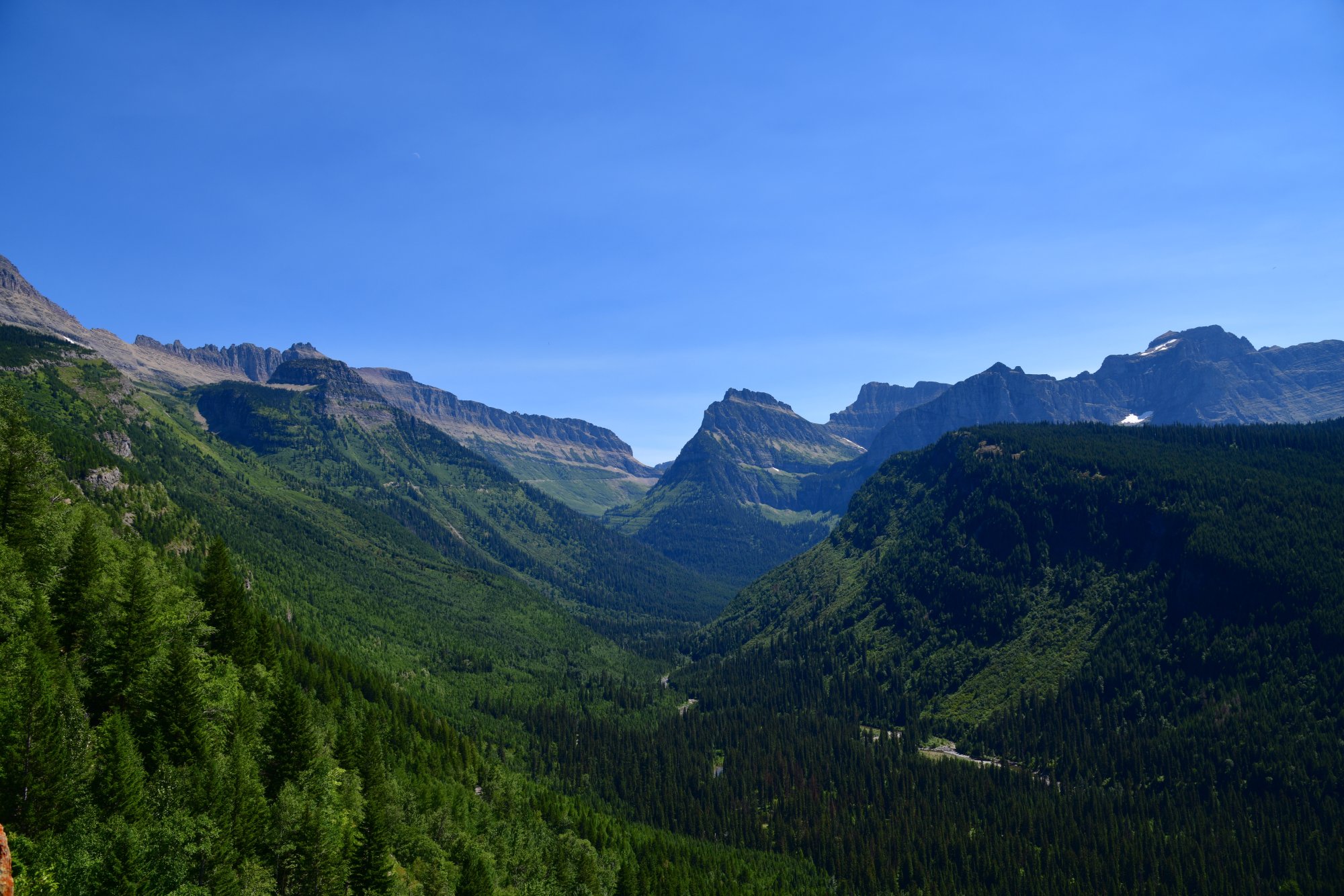 850_2387 copy.JPG