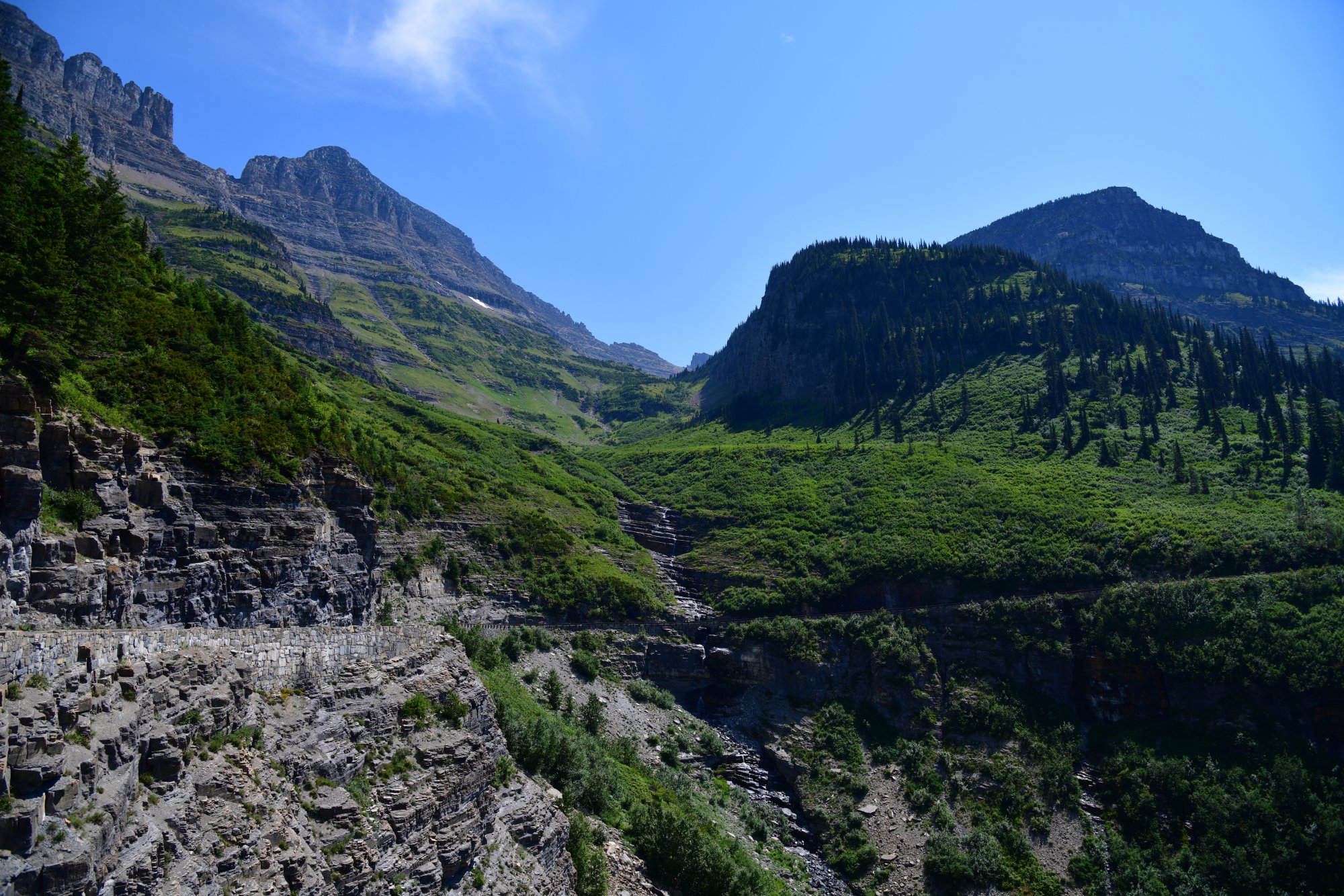 850_2471 copy.JPG