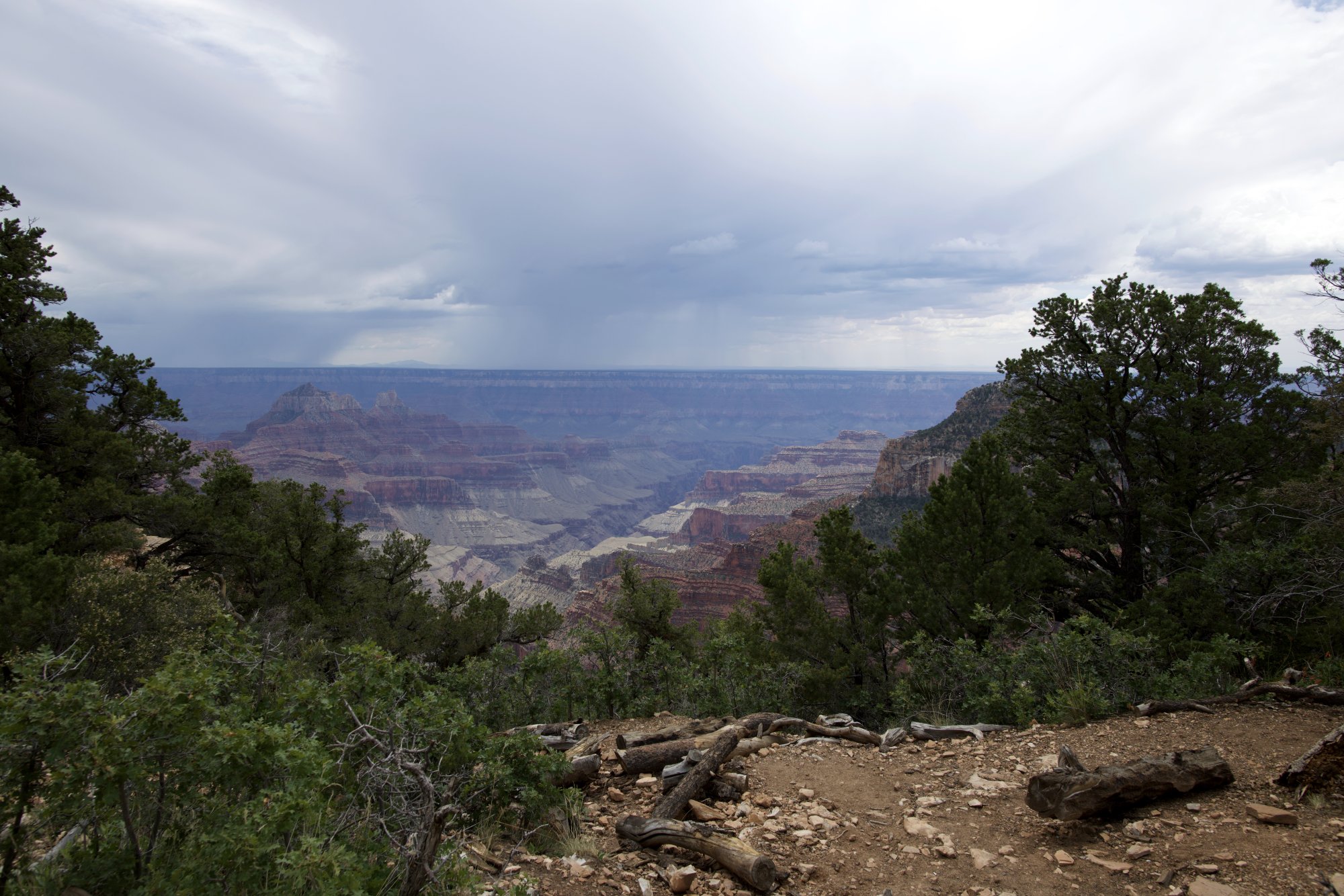 850_2714 copy.jpg