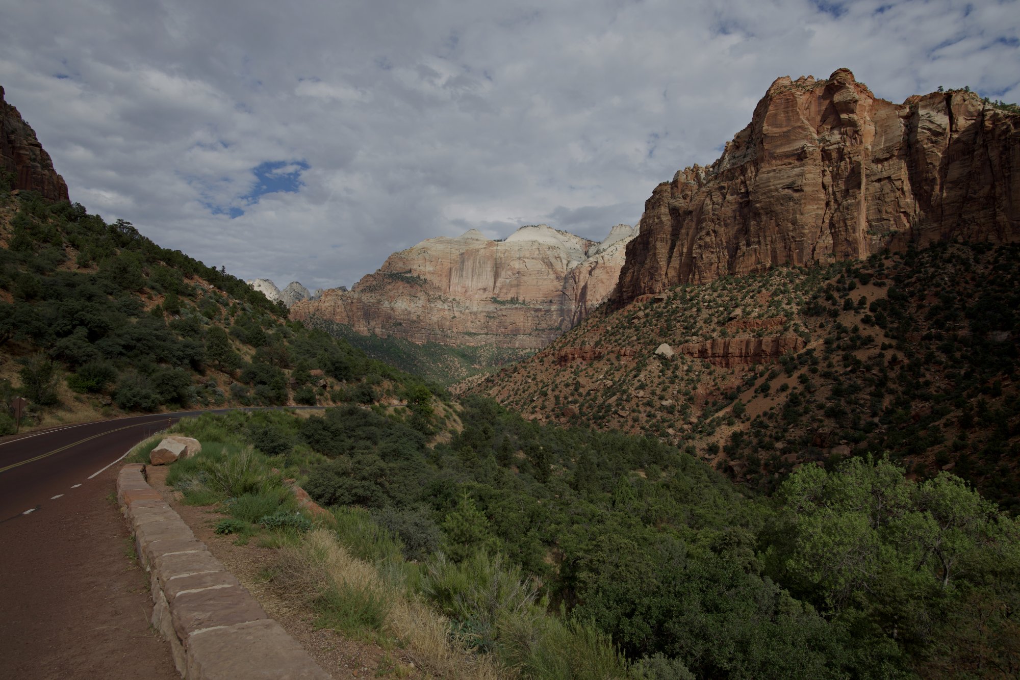 850_2920 copy.jpg