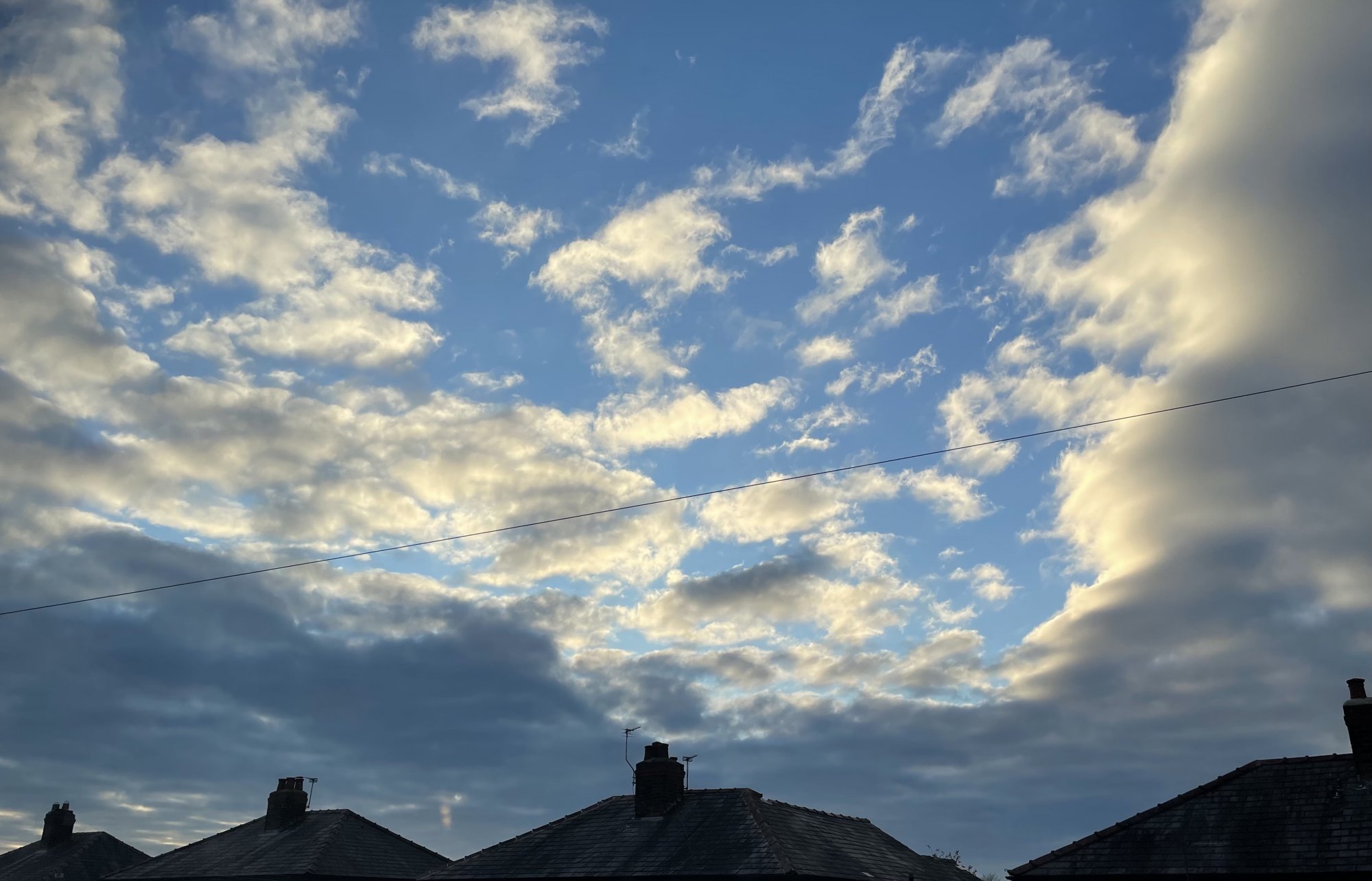 8AB6BC77-BDB4-4DAF-98EF-33F9F058F5B7.jpeg