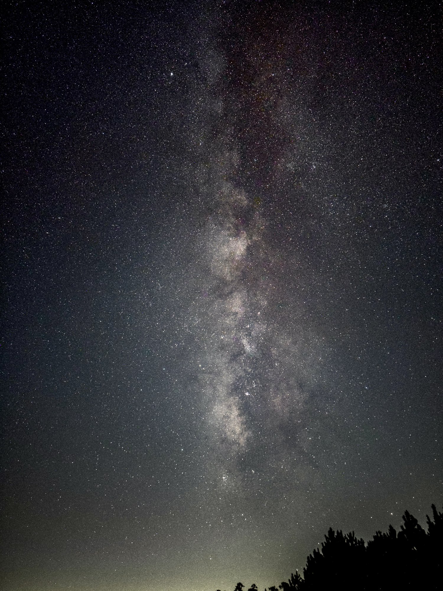 8BA968D2-779D-409C-8C7F-22627D333C0C.jpeg