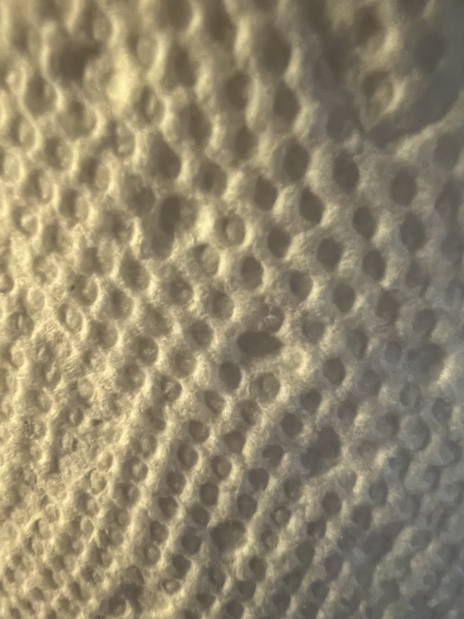 8E0777D2-6F2C-4DED-8FDB-6011DE015678.jpeg