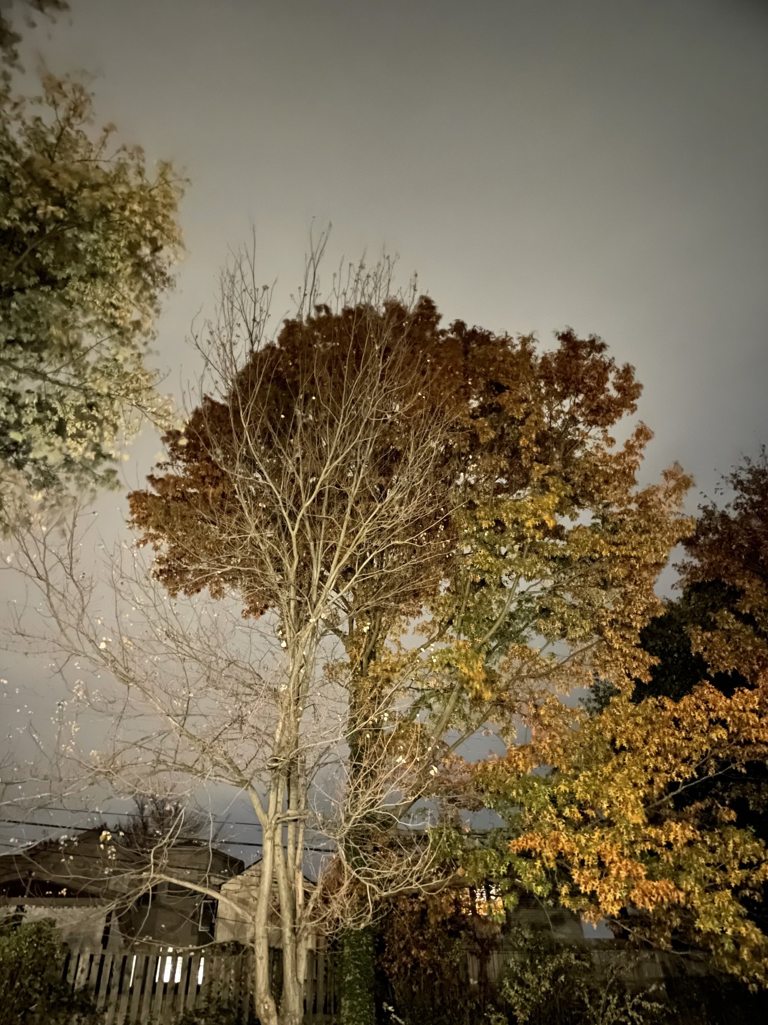8FF587EB-71F3-4B56-96D2-E3876A09D327.jpeg