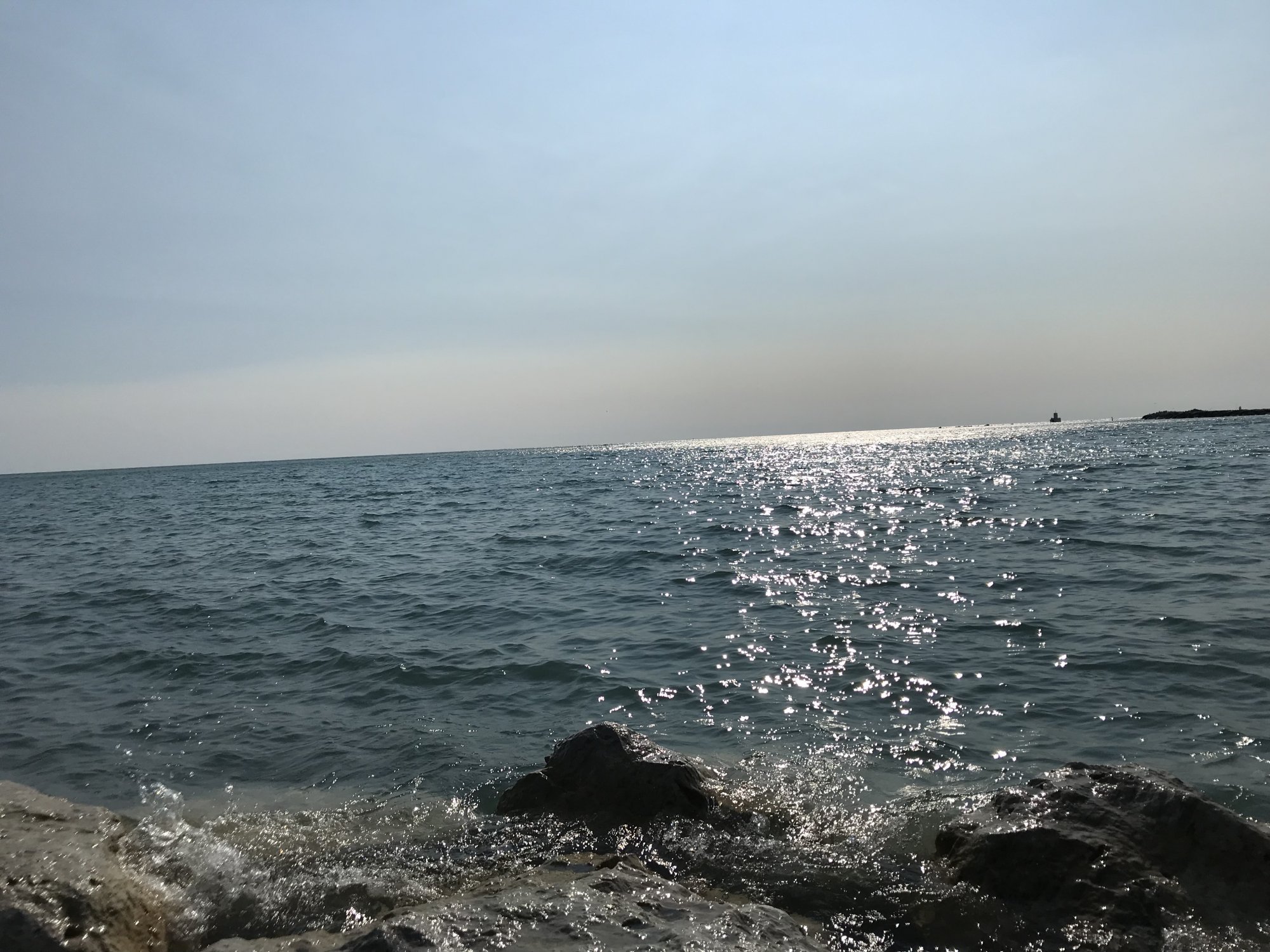 905B6843-B96E-46CD-8F56-F5DC5241CFB0.jpeg