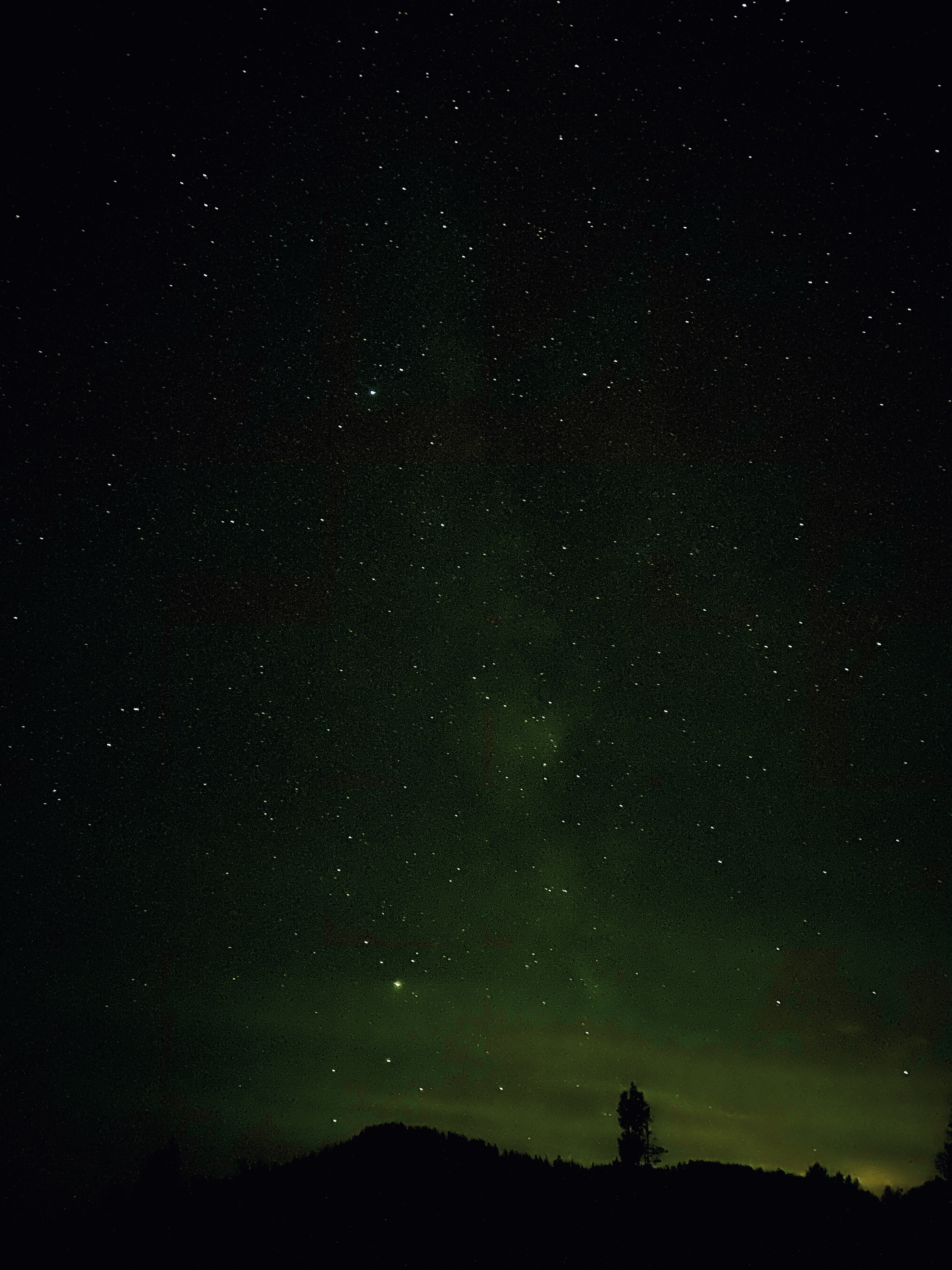 9170D387-DC41-4A85-BFCE-E8A0E162E0E3.jpeg
