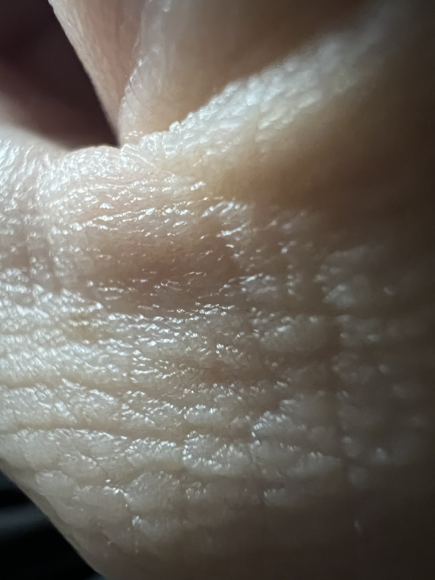 932C29F9-0AB2-4A5D-AE36-13B9CEE77EDB.jpeg
