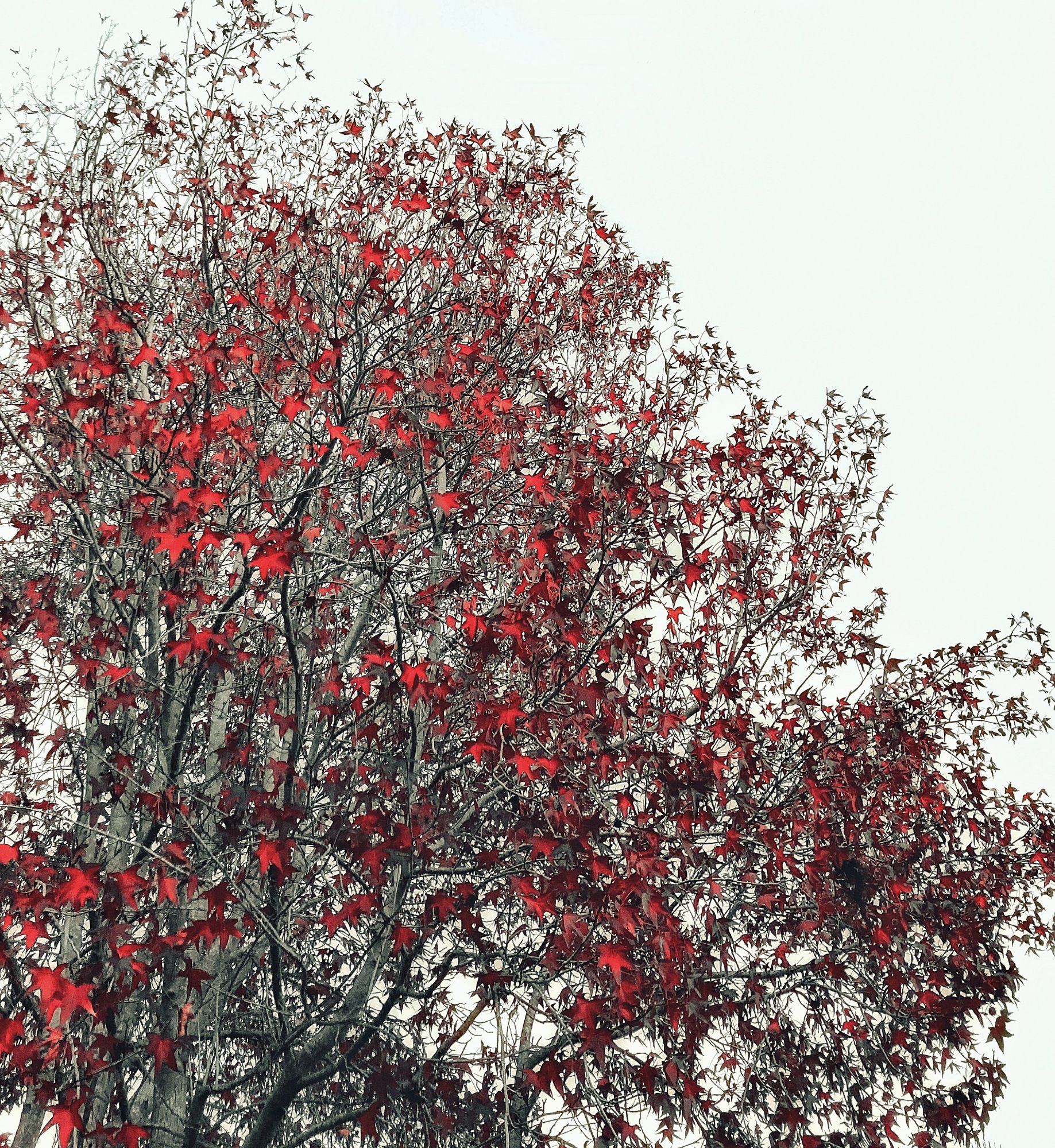 938F6D24-1B6C-4062-9238-BE57BEBCCBC4.jpeg