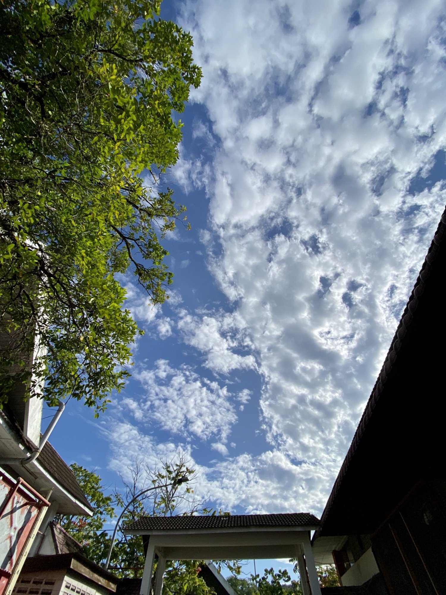 957DE756-E5FC-40A7-BBB2-18D910E10358.jpeg