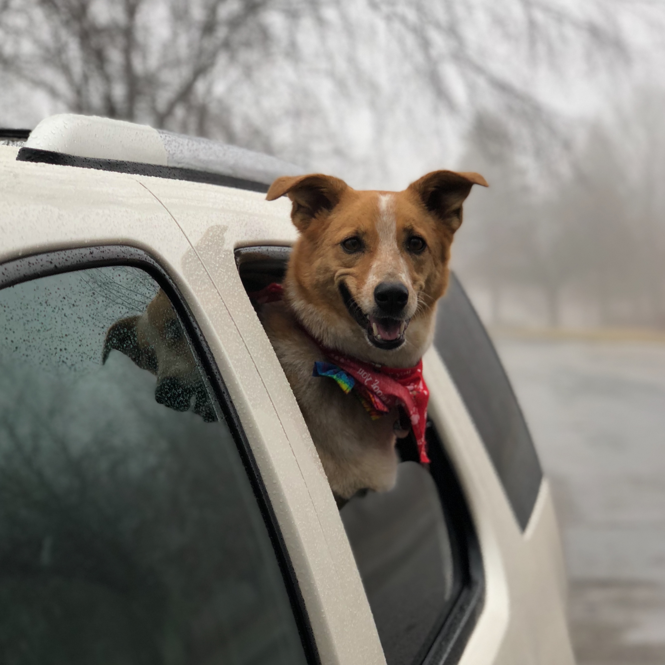 95F4FD5D-FCA6-4536-8AC4-3A6941B6562E.jpeg