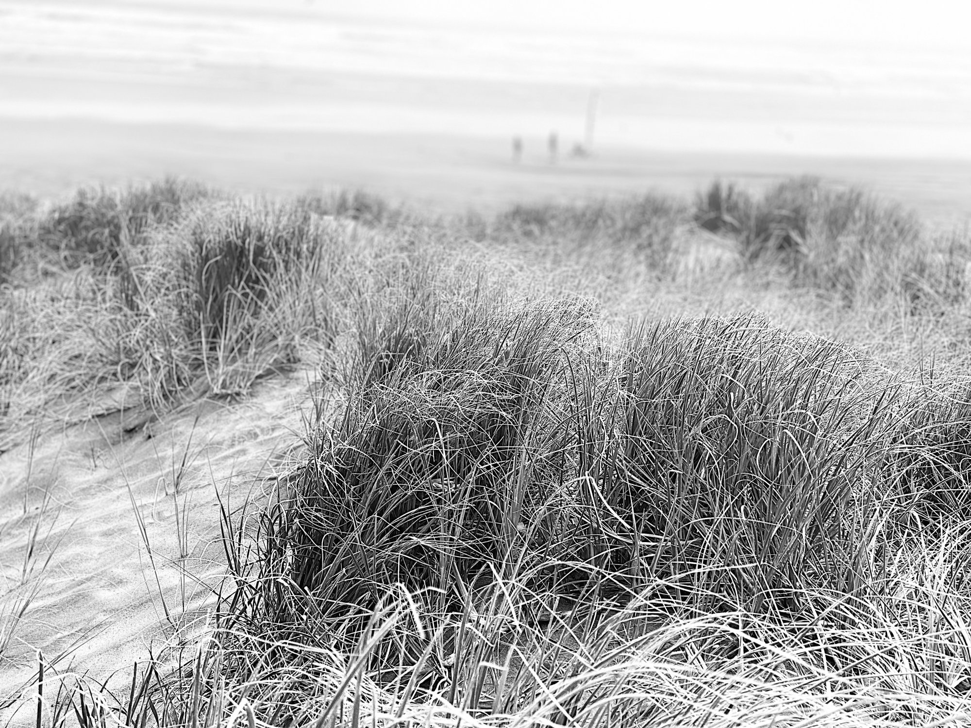 970901BB-503F-45B3-8226-B194B230382F.jpeg