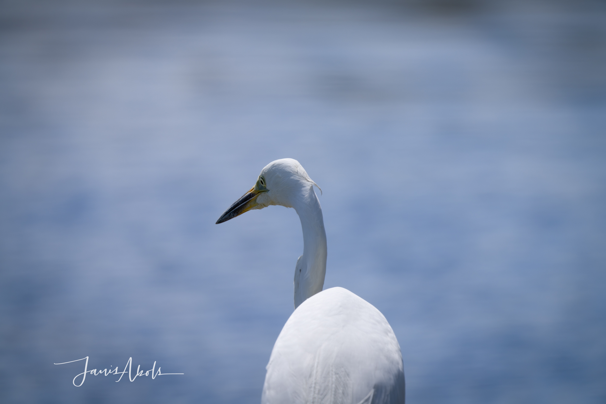 9713EDDF-0C26-47FD-B5D0-3AC07276088F.jpeg