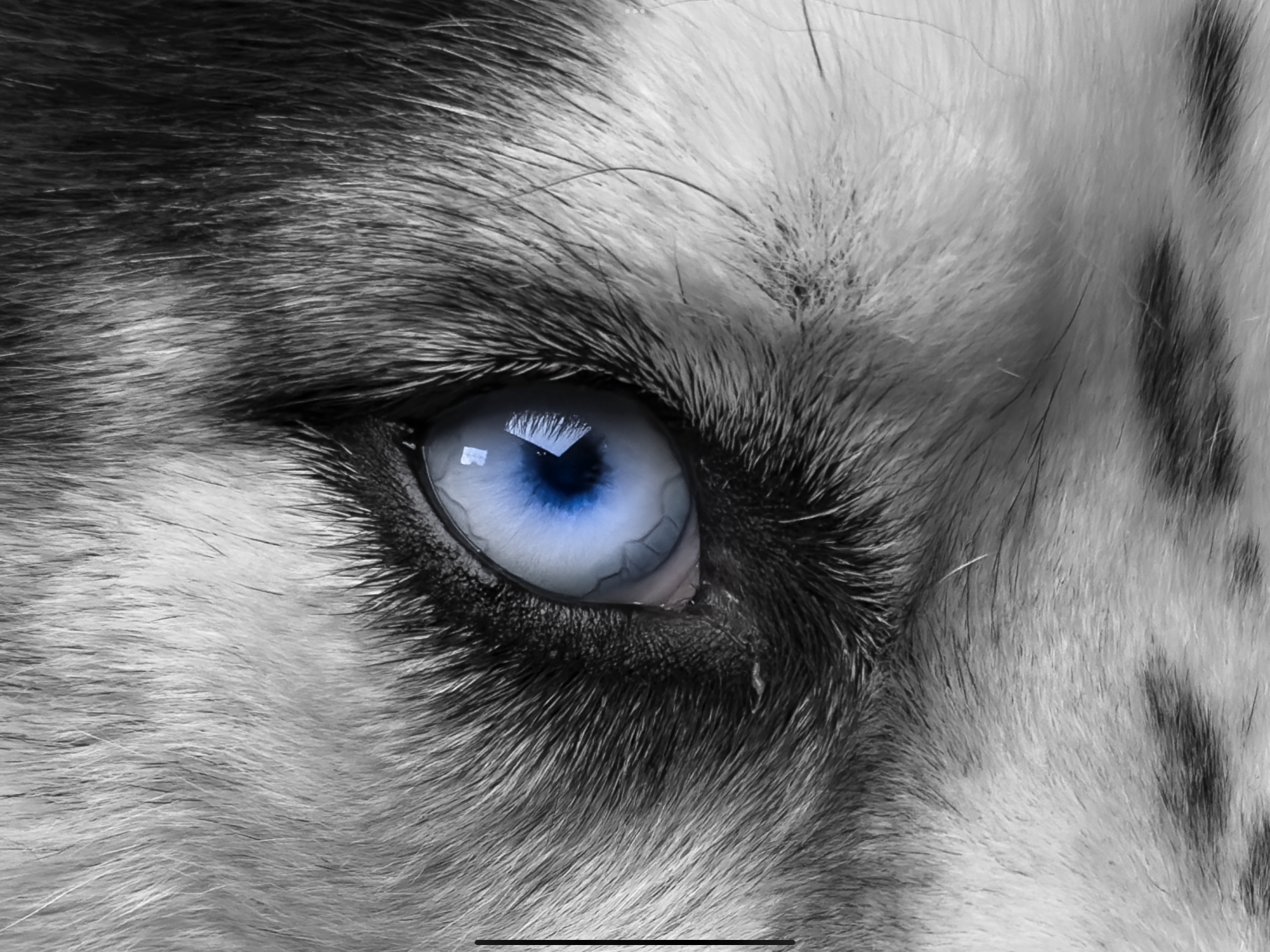 9926634E-D504-4EF4-B952-7C50528A70F8.png