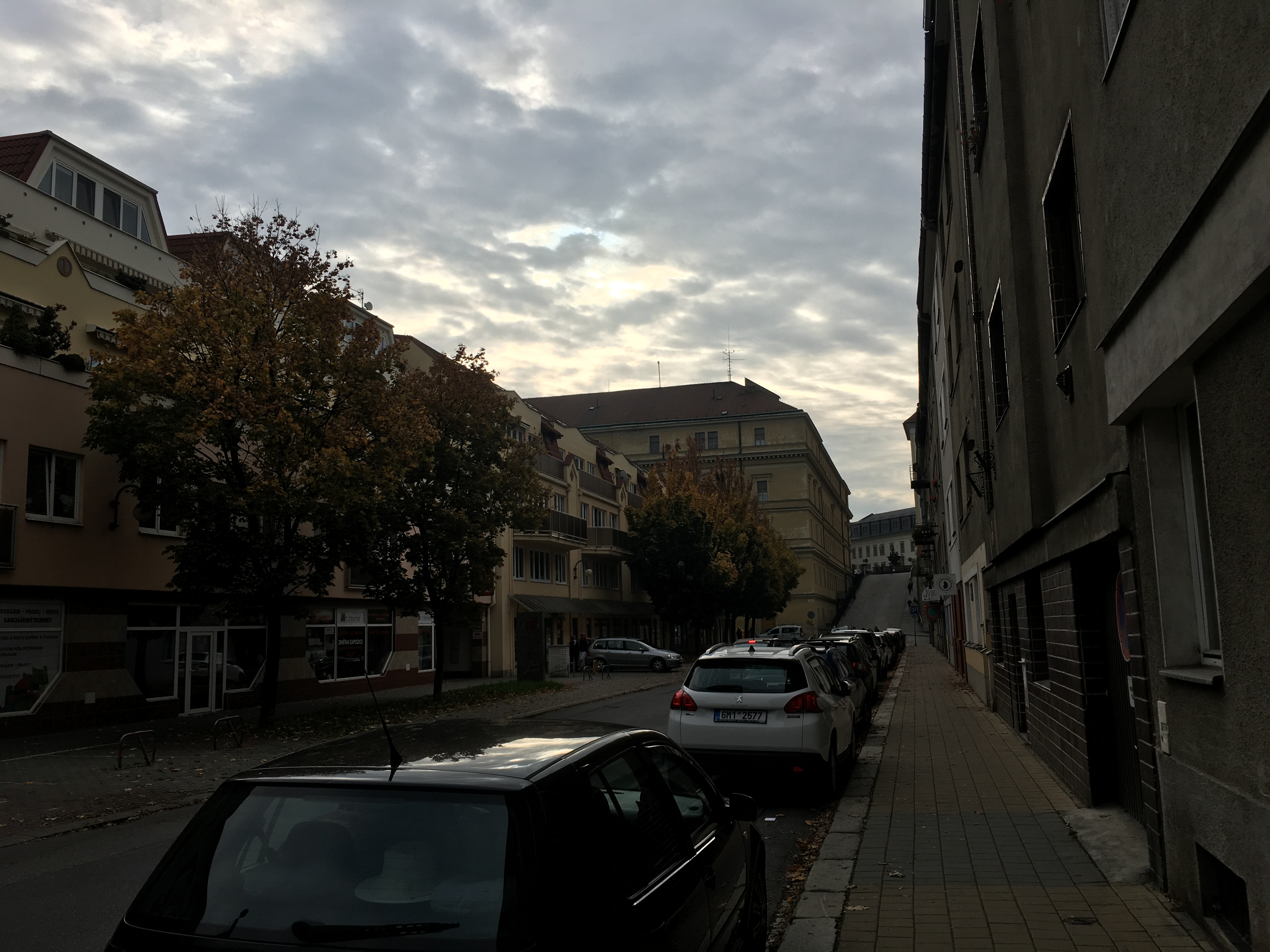 9D560D6C-5CD7-4612-A62D-1BCE59F2B19A.jpeg