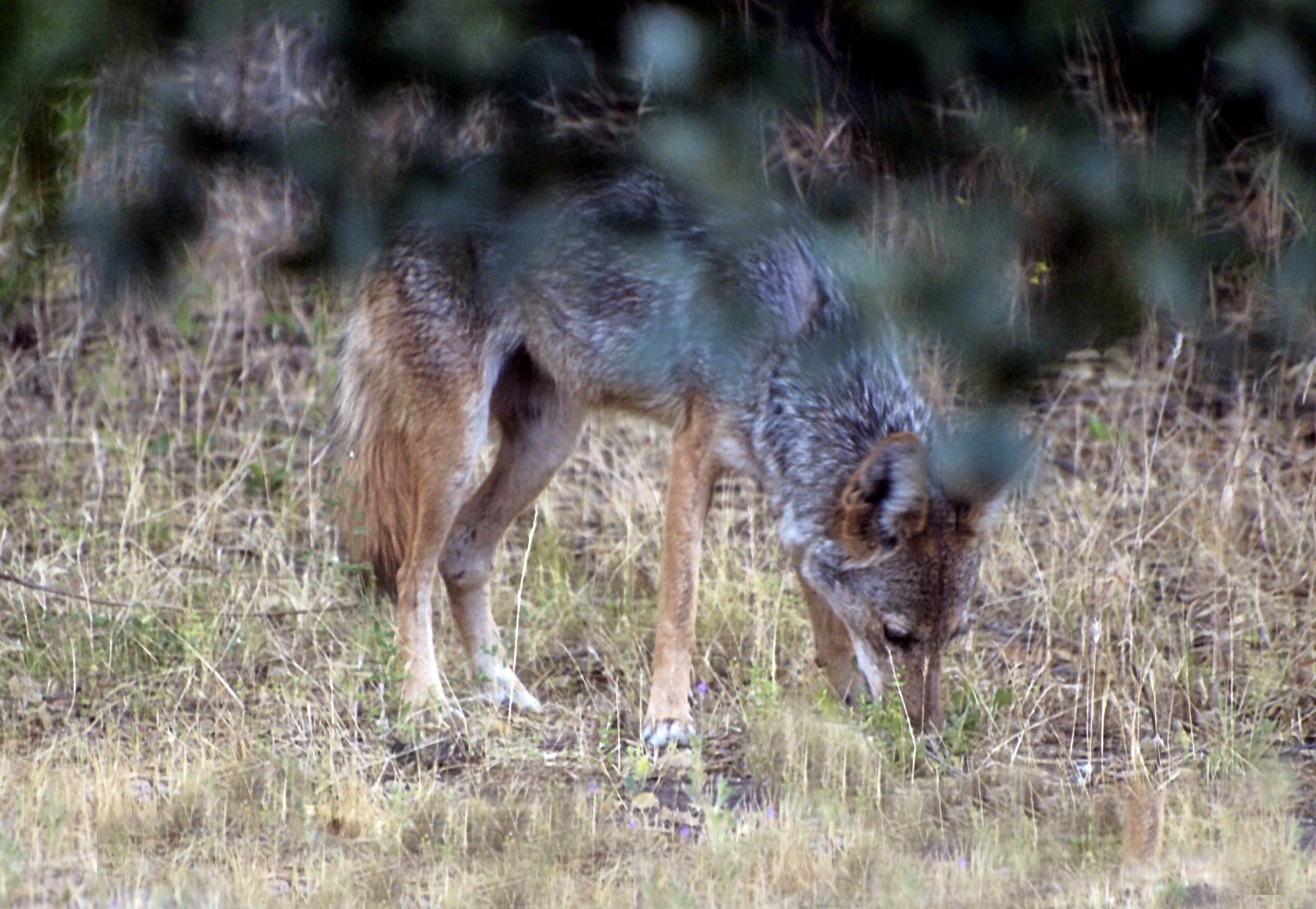 _1014402 x2crop.jpg