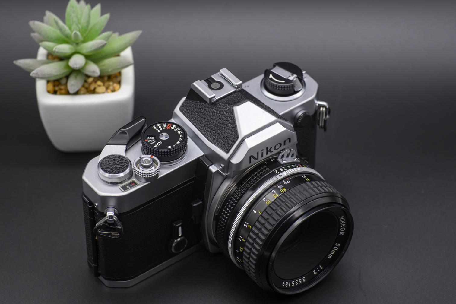 _DSC1062.jpeg