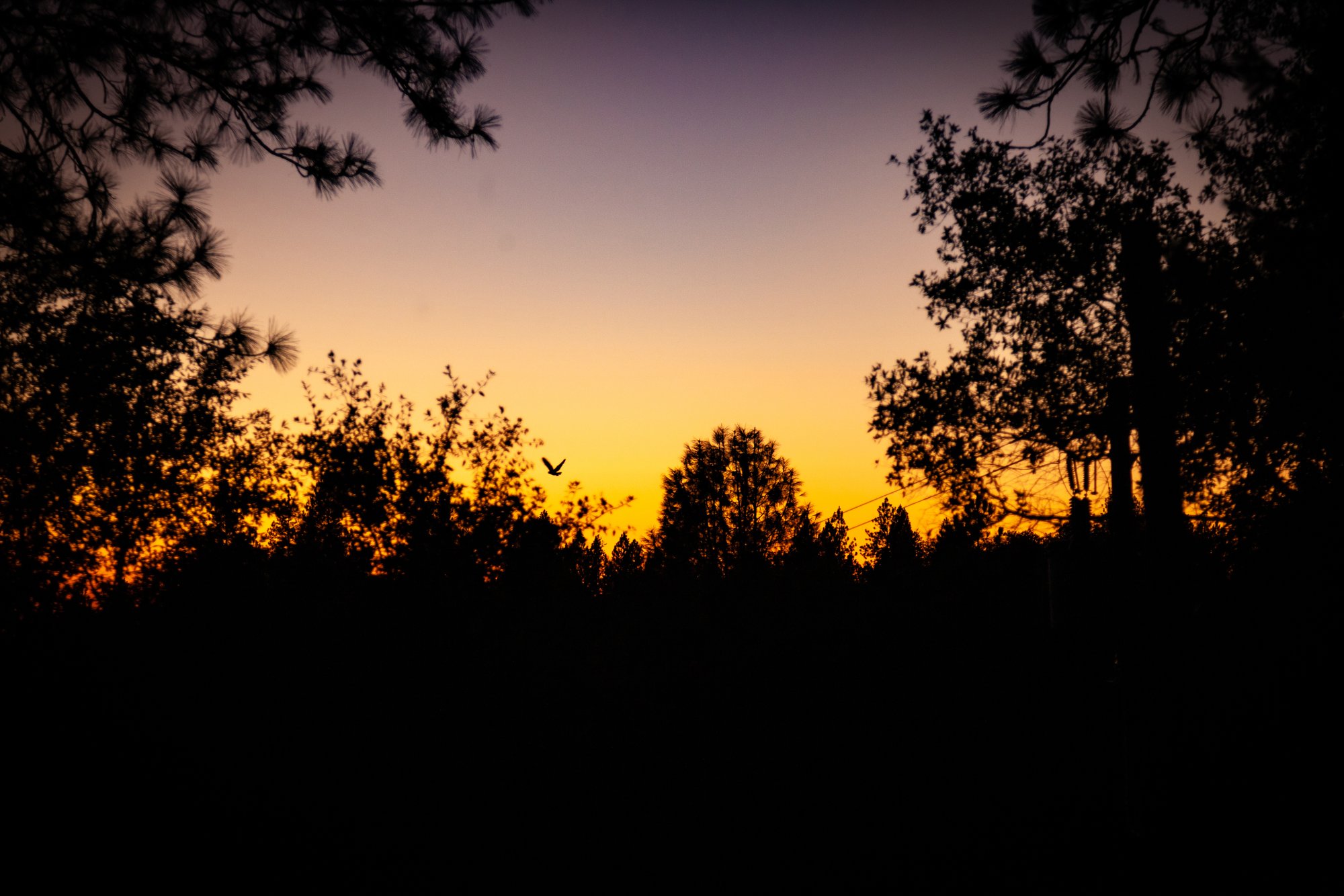 _MG_0131.jpg