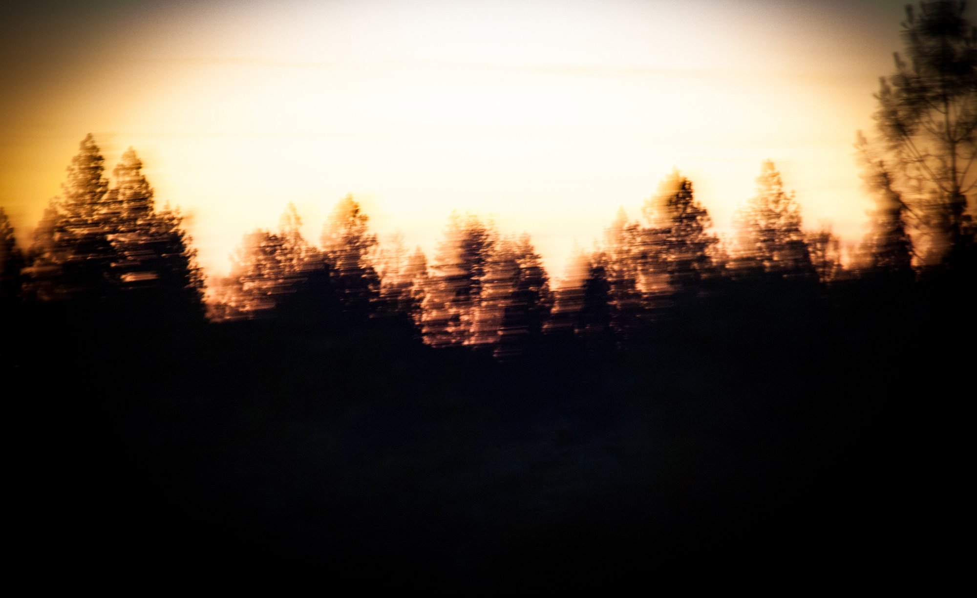 _MG_0214.jpg