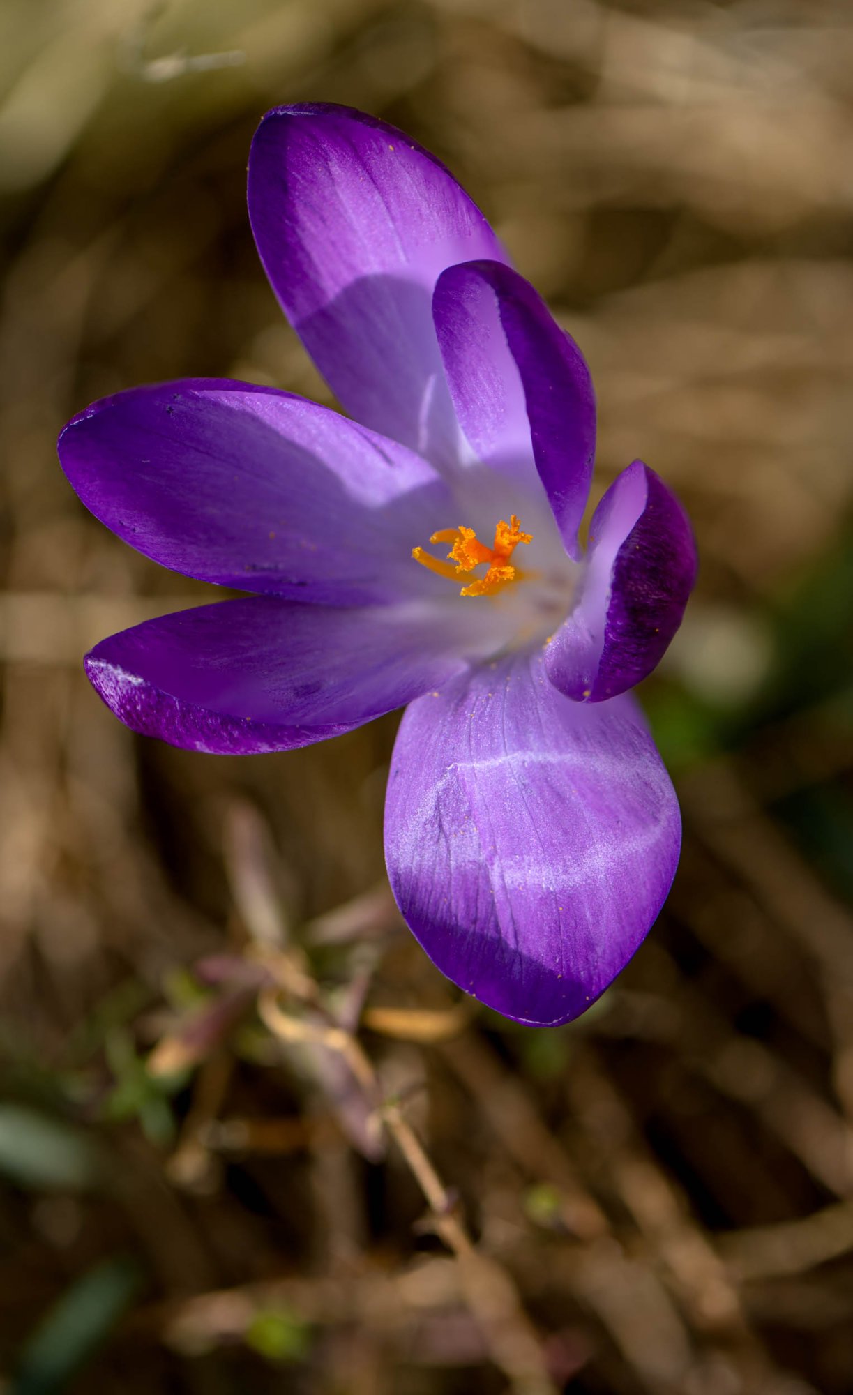 _Z633831-Edit.jpg