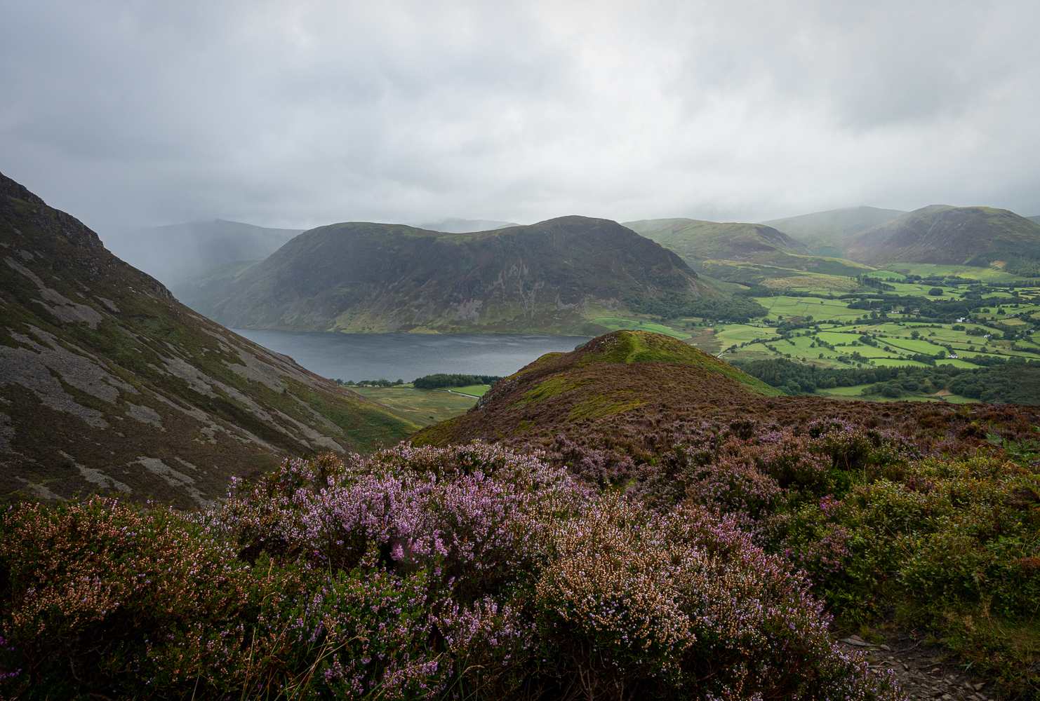 _Z635189-Edit.jpg