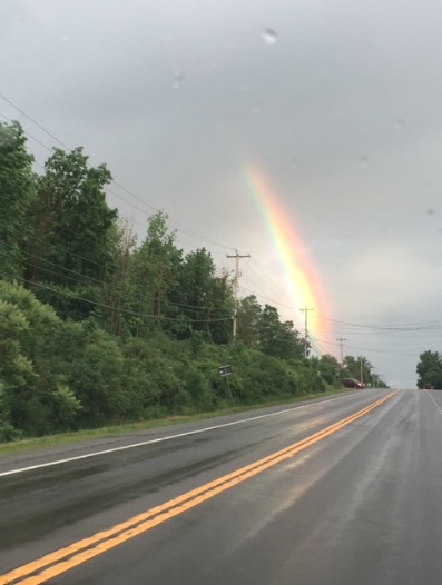 A Rainbow For Grace.jpg
