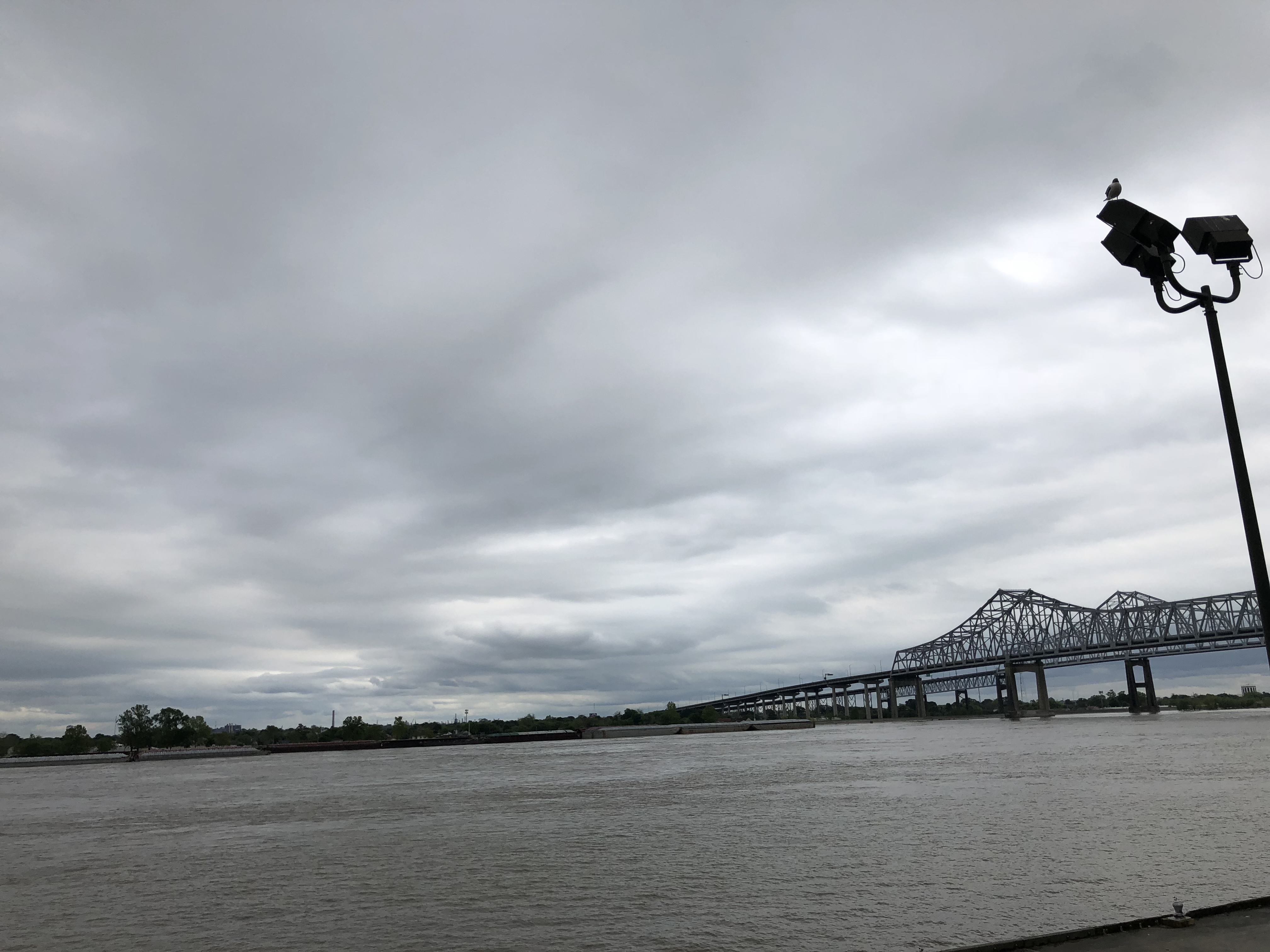 A006EDE8-F8C3-44C8-A7AF-F157703EDEC8.jpeg