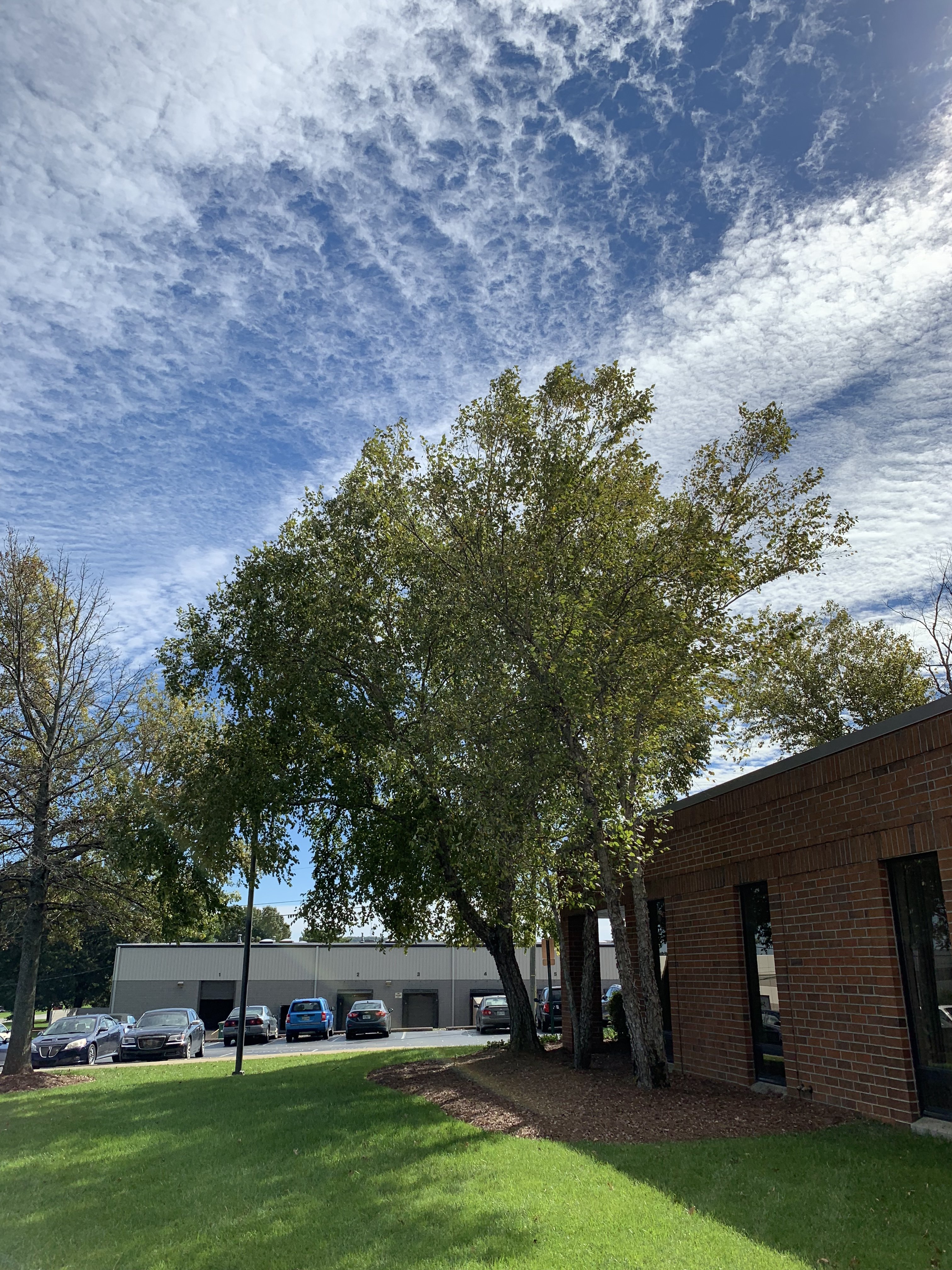 A0F302E4-7957-47BB-A0DC-3E2CF2150054.jpeg