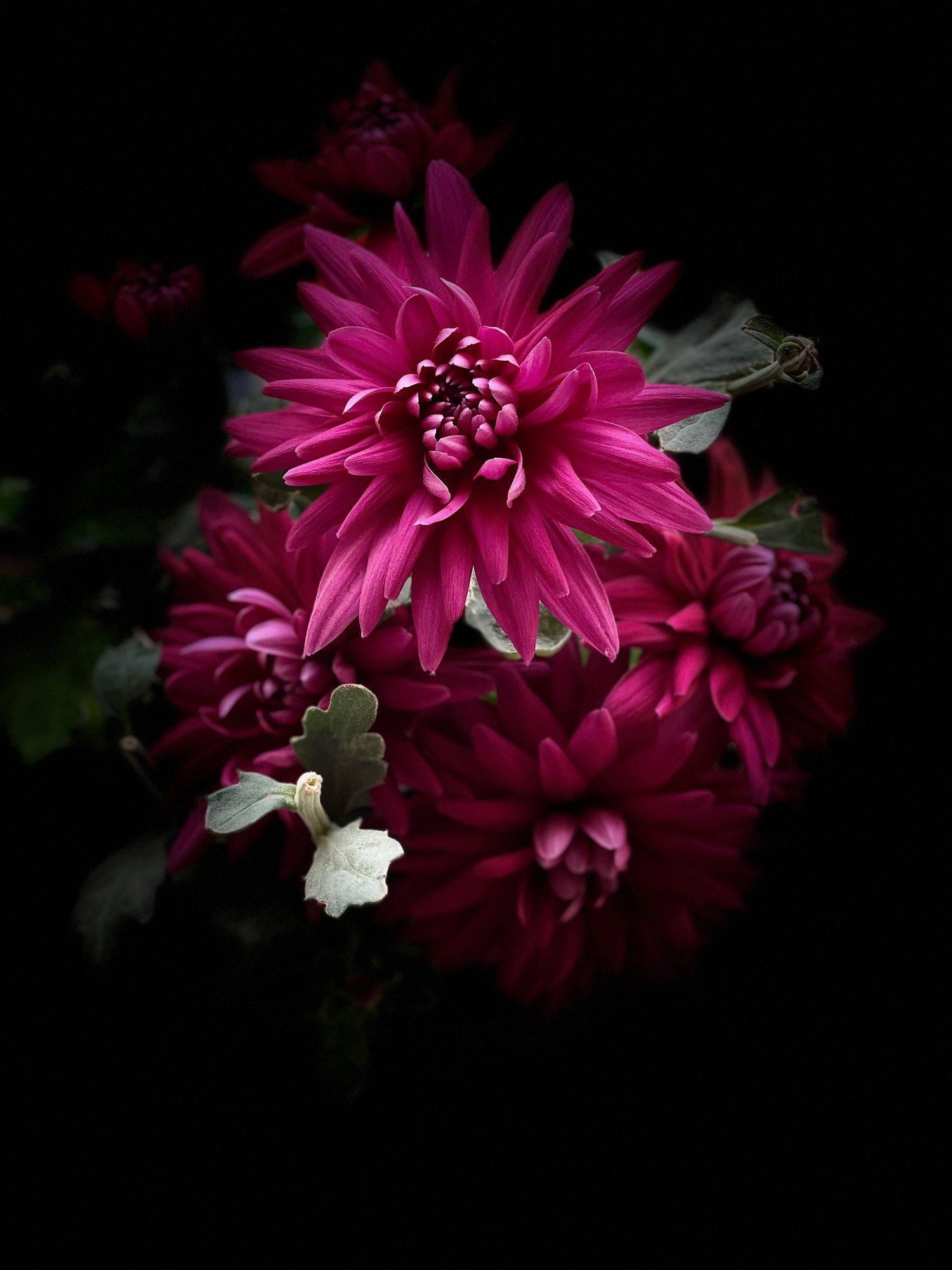A3779FAE-F010-428C-B96C-7A1EA7A2CD4D.jpeg