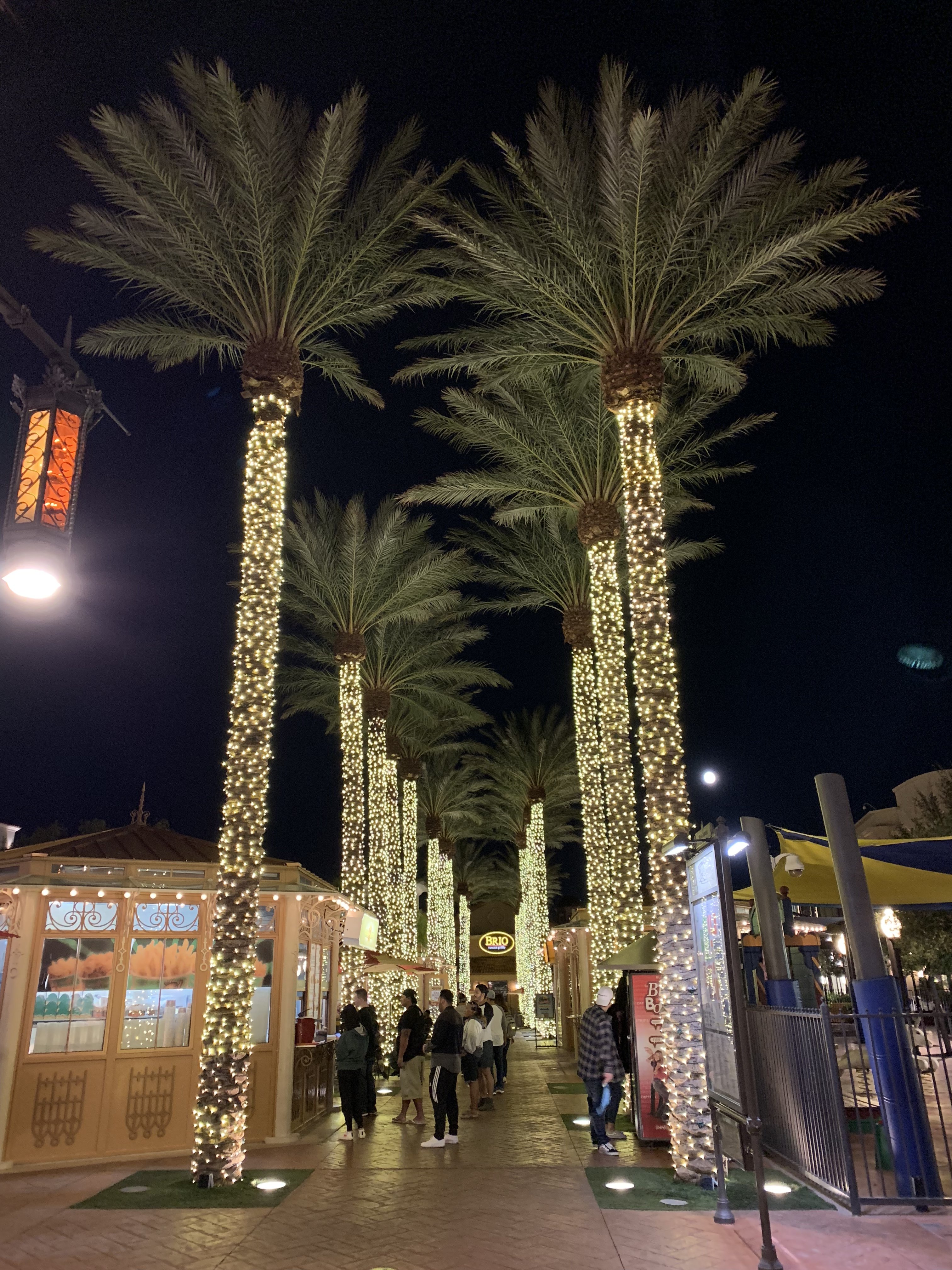 A60D4DDA-E552-4A76-A0DC-6EB9F2551228.jpeg