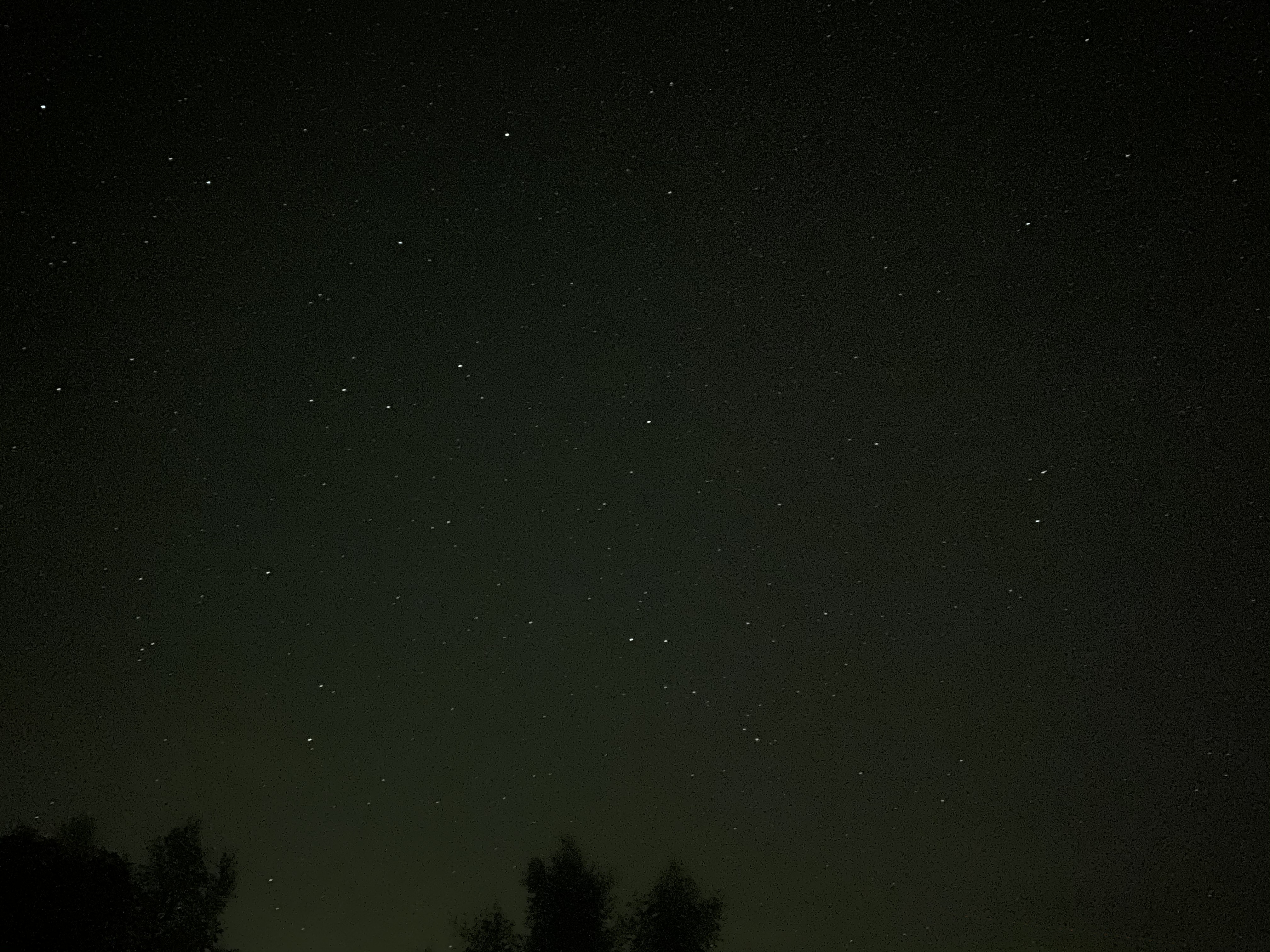 A9699C0A-D555-4CB1-8532-7C8A8D4BCE95.jpeg
