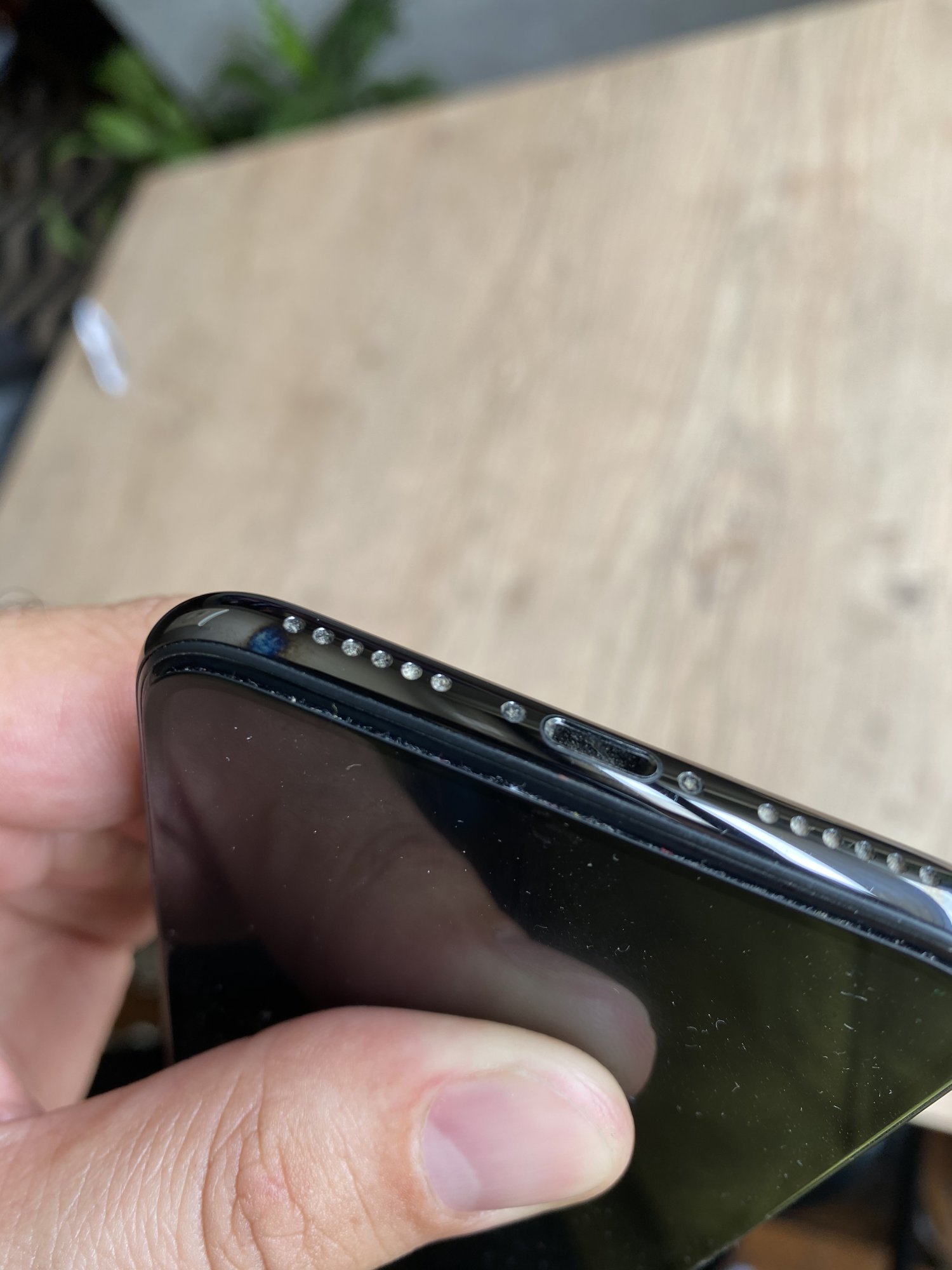 AA155F9B-BA43-46DA-AB05-663ED4667983.jpeg