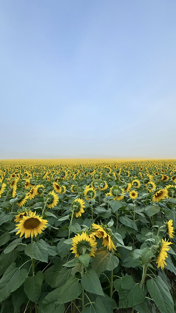 AA2FB227-B9A9-47CB-A66F-162608116B8F.jpeg