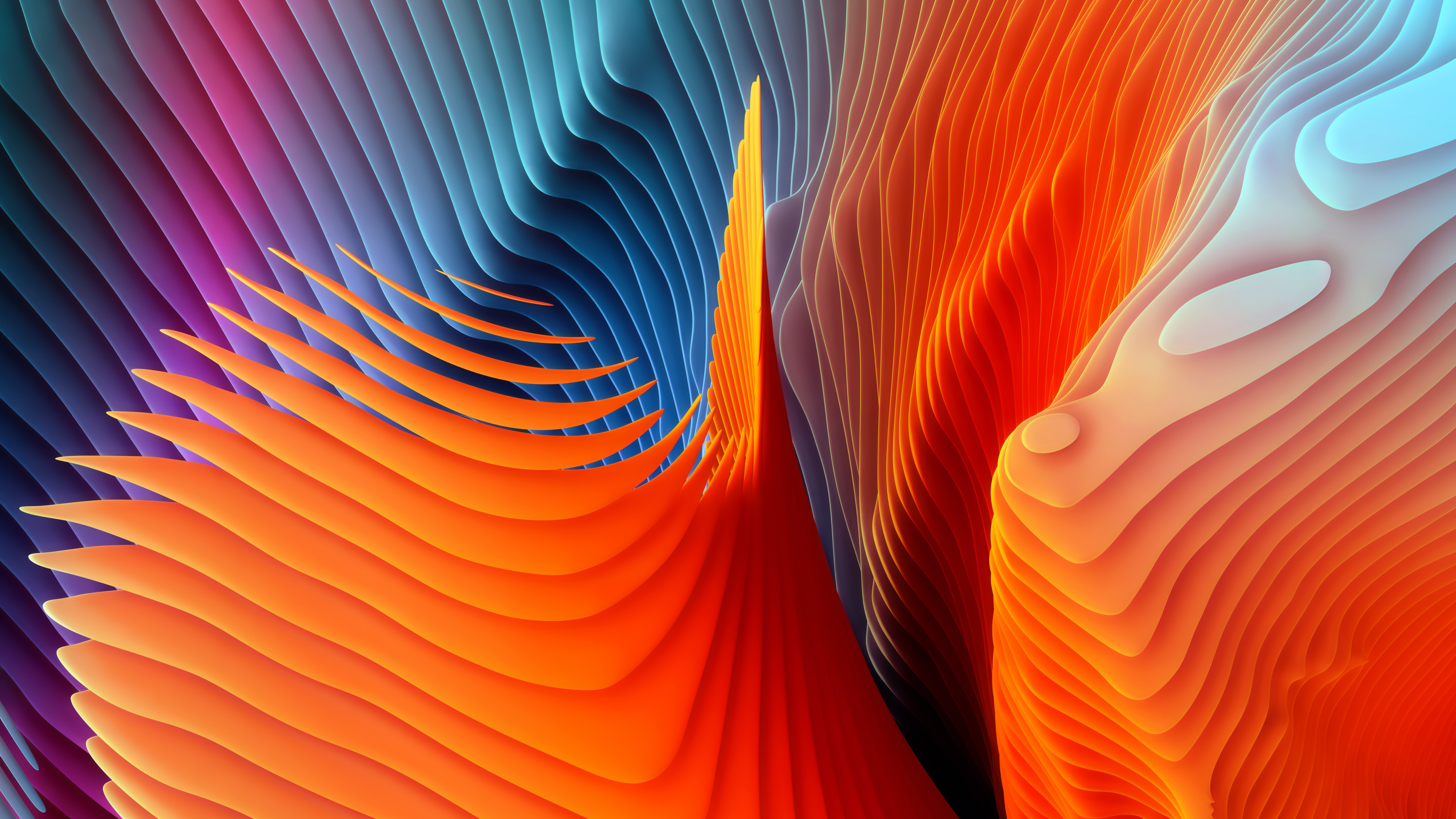 abstract-shapes.jpg