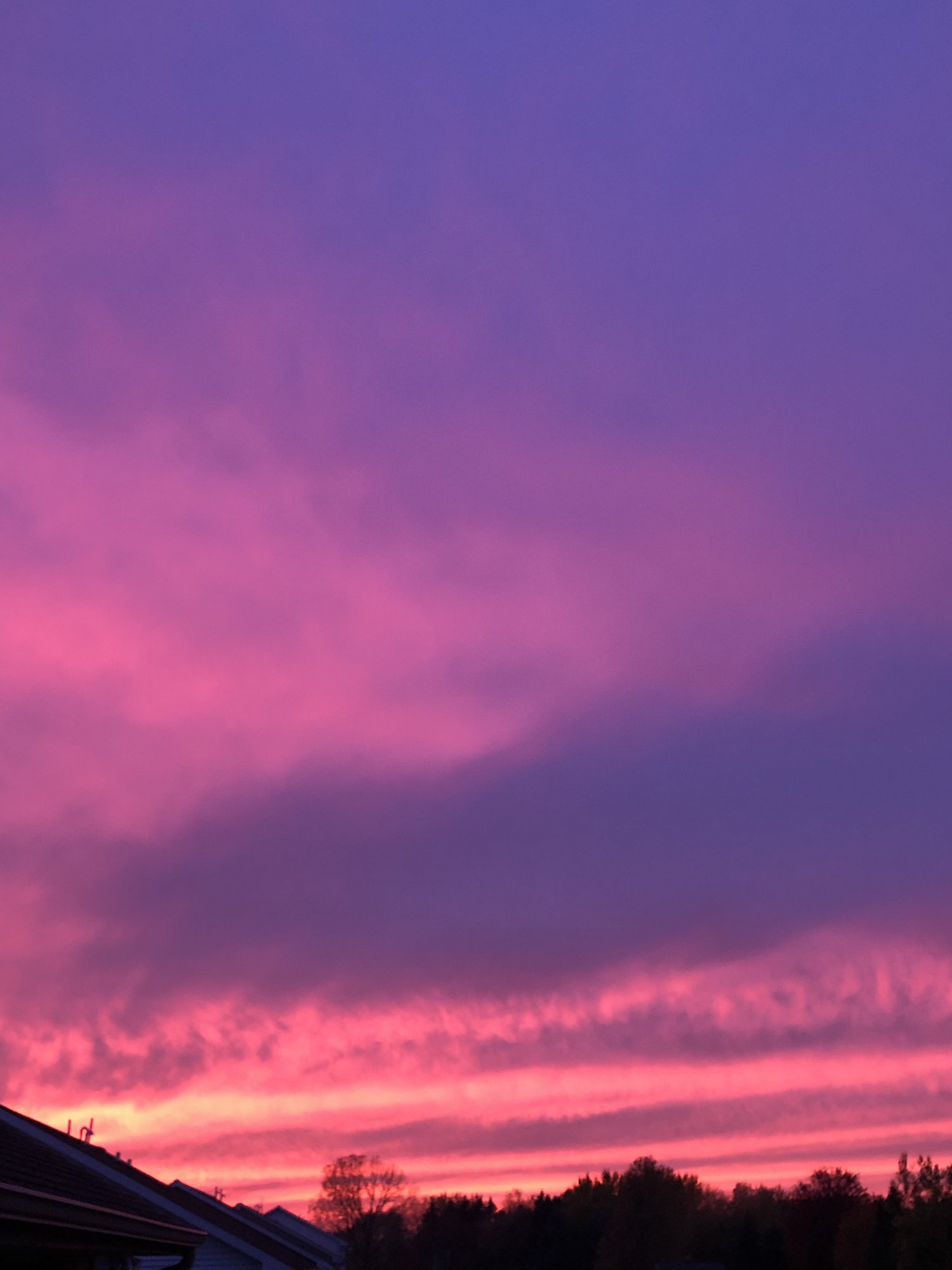 AD601002-CC70-4F6C-9CE1-AE3F50527C60.jpeg