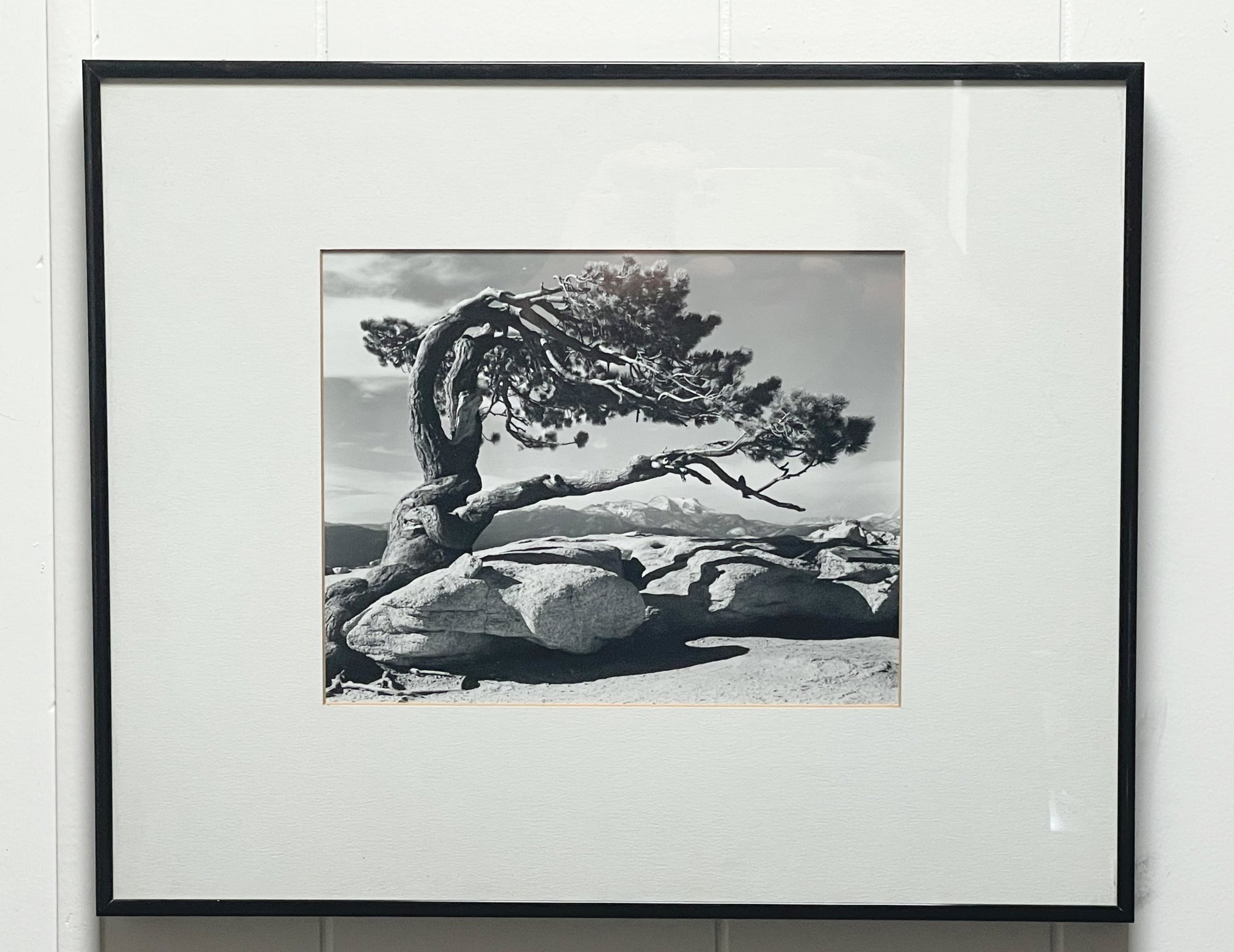 Ansel Adams Stamps to Be Released by USPS in May 2024 MacRumors Forums