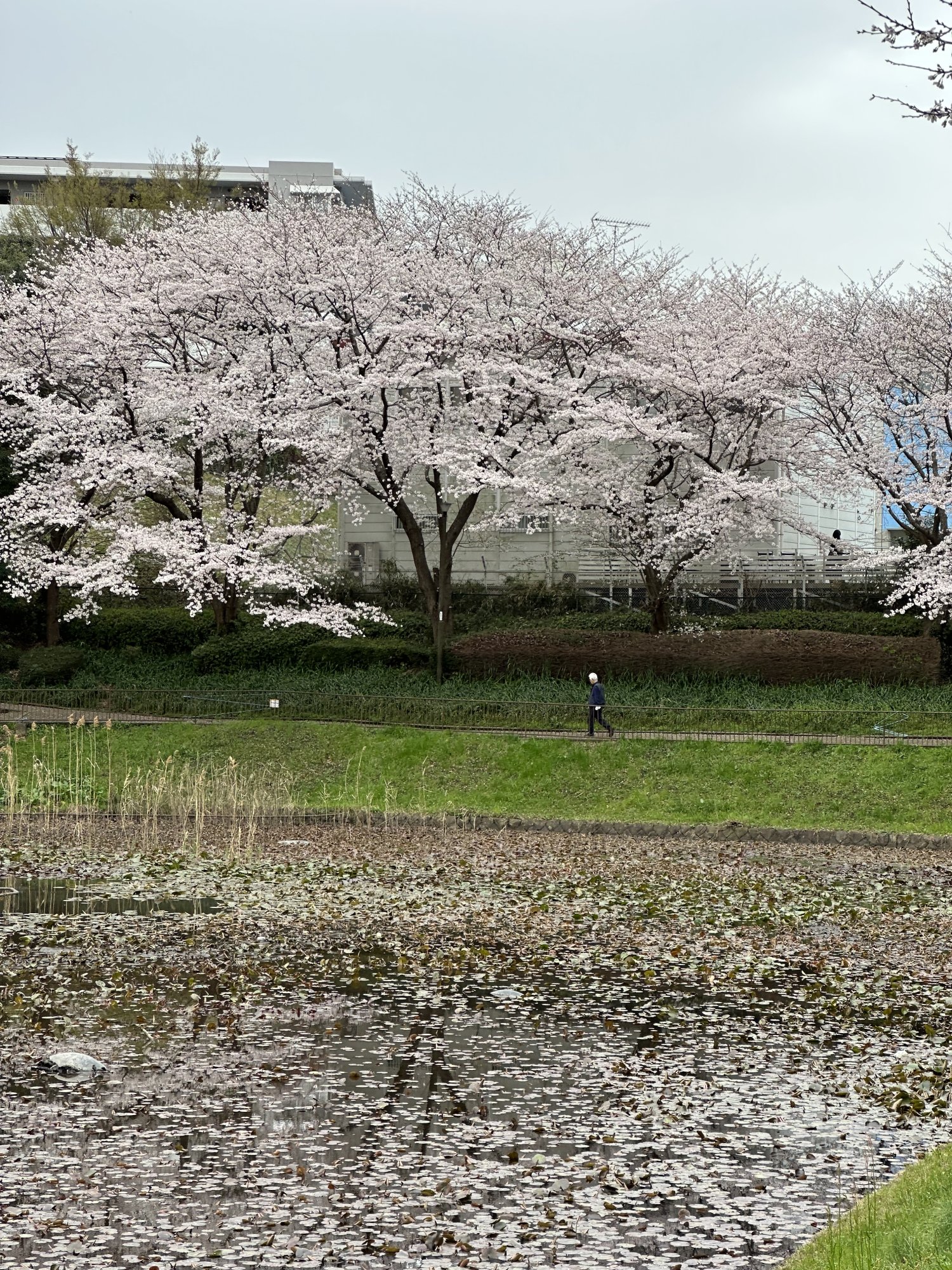 AE5C7CE6-A060-41E1-B6D5-466774A863E0.jpeg