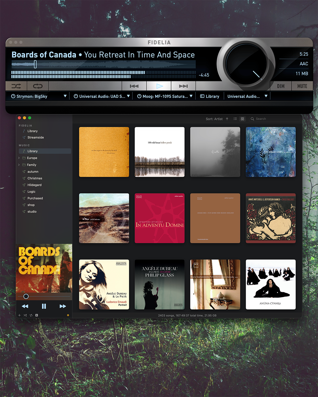 albumview.png