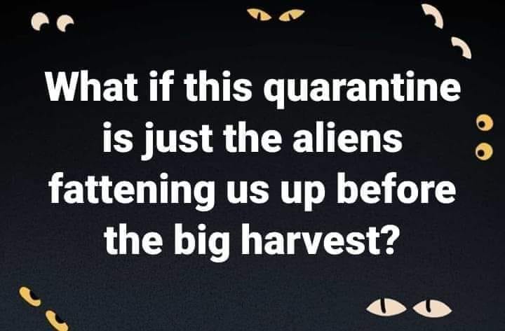 aliens.jpg