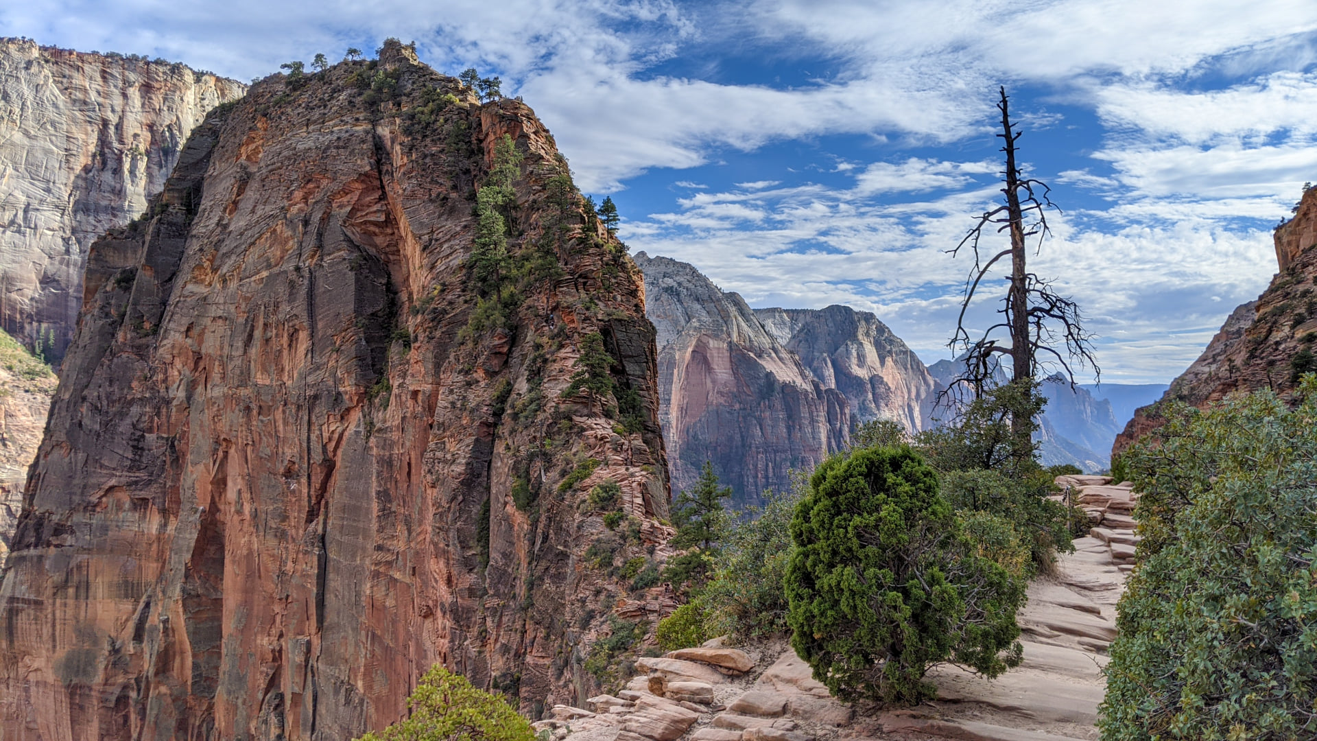 Angels Landing.jpg