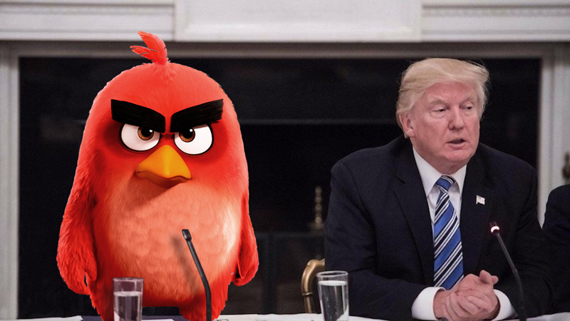 angry-cook-trump-800x450.jpg