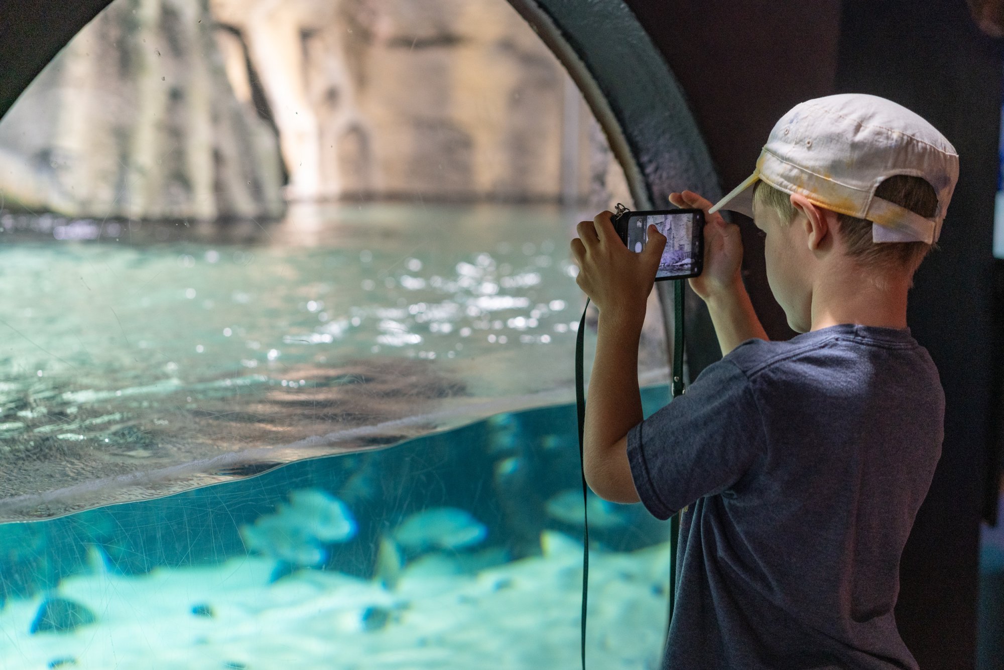 Aquatix - 2500px-22.jpg
