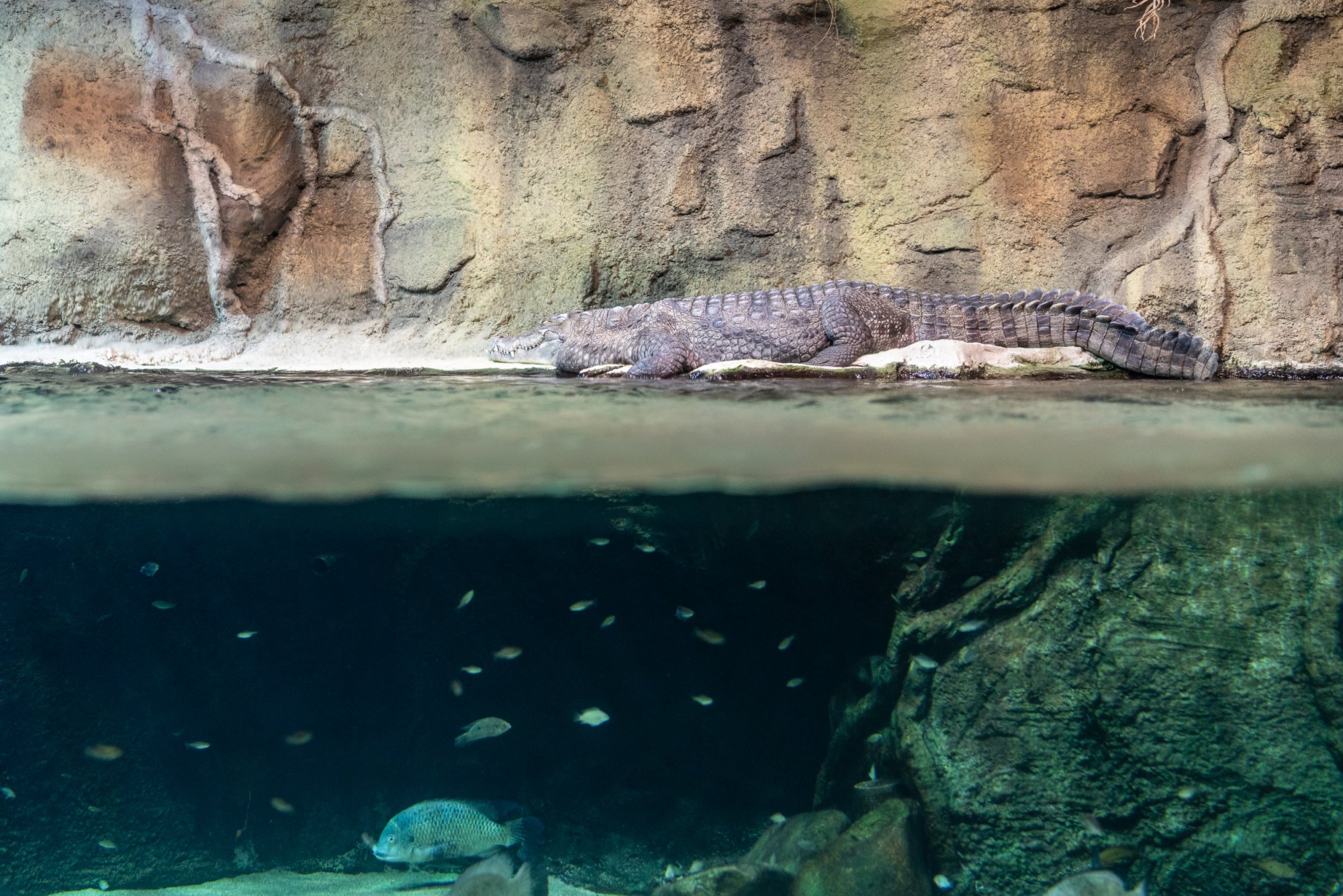 Aquatix - 2500px-24.jpg