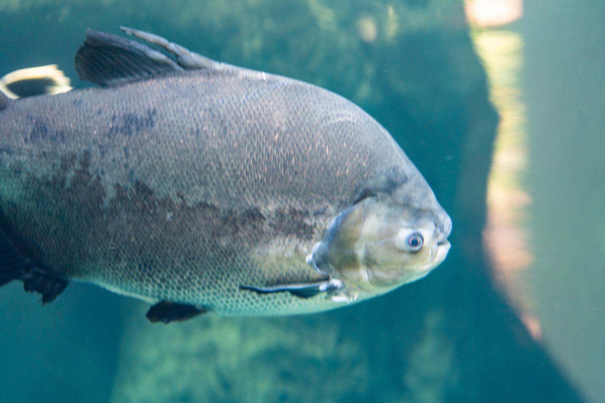 Aquatix - 2500px-30.jpg
