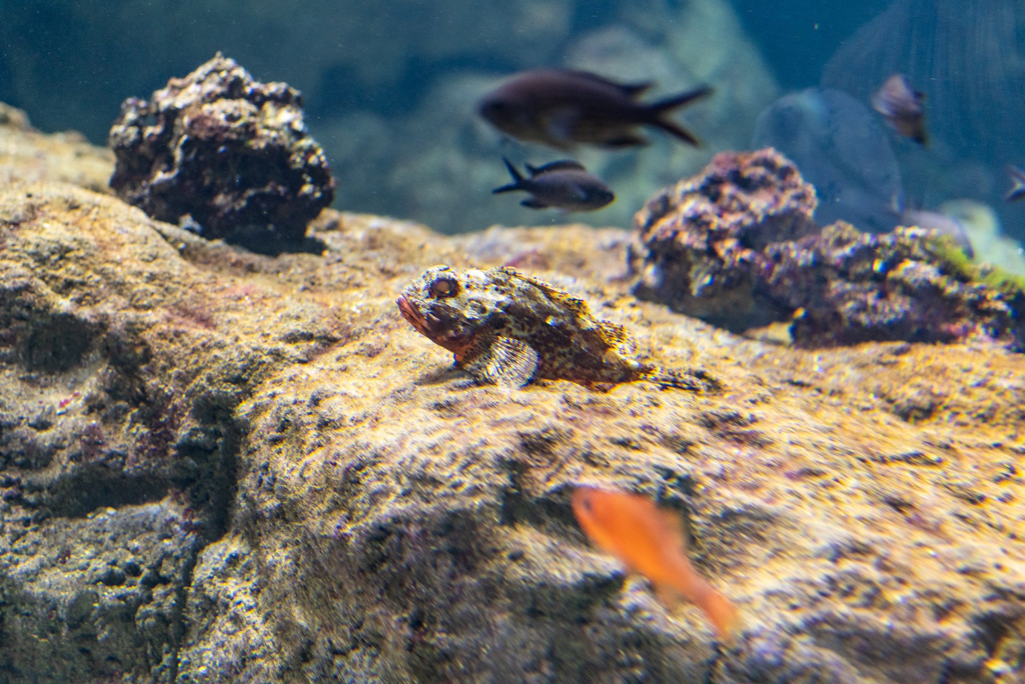 Aquatix - 2500px-8.jpg