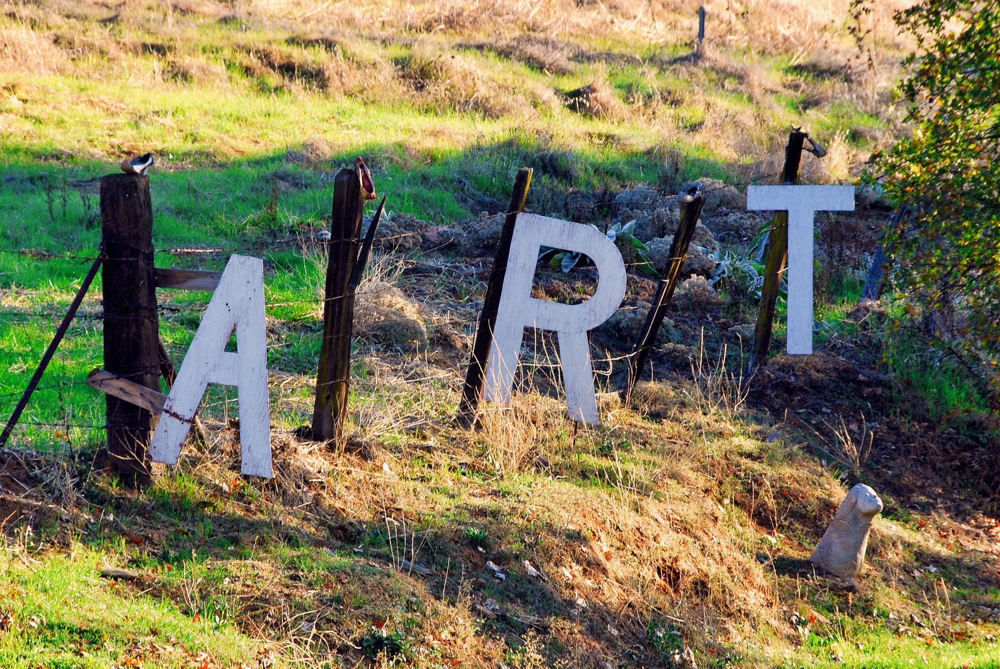 Art in nature.jpg